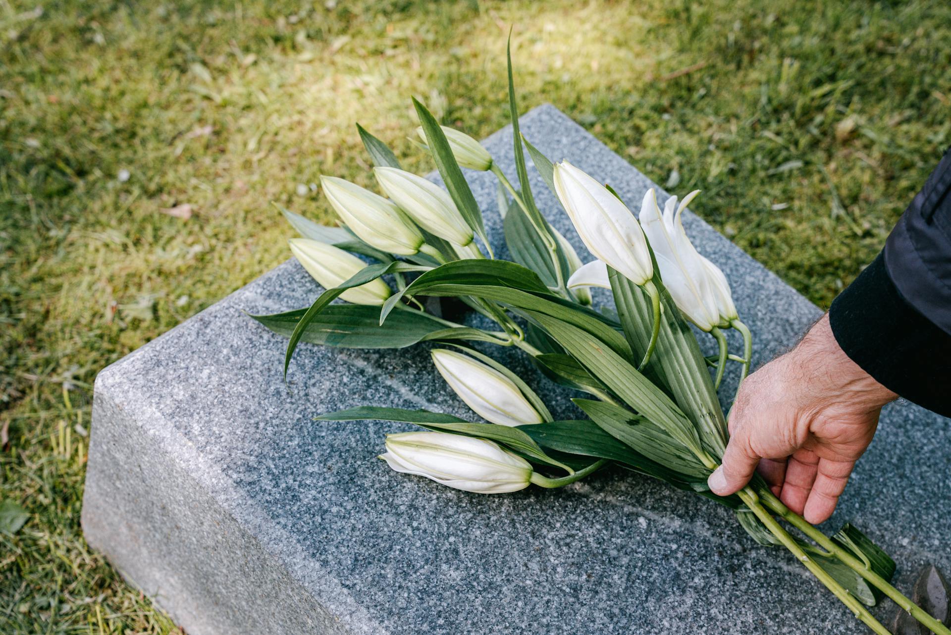 Eine Person legt Blumen auf ein Grab | Quelle: Pexels