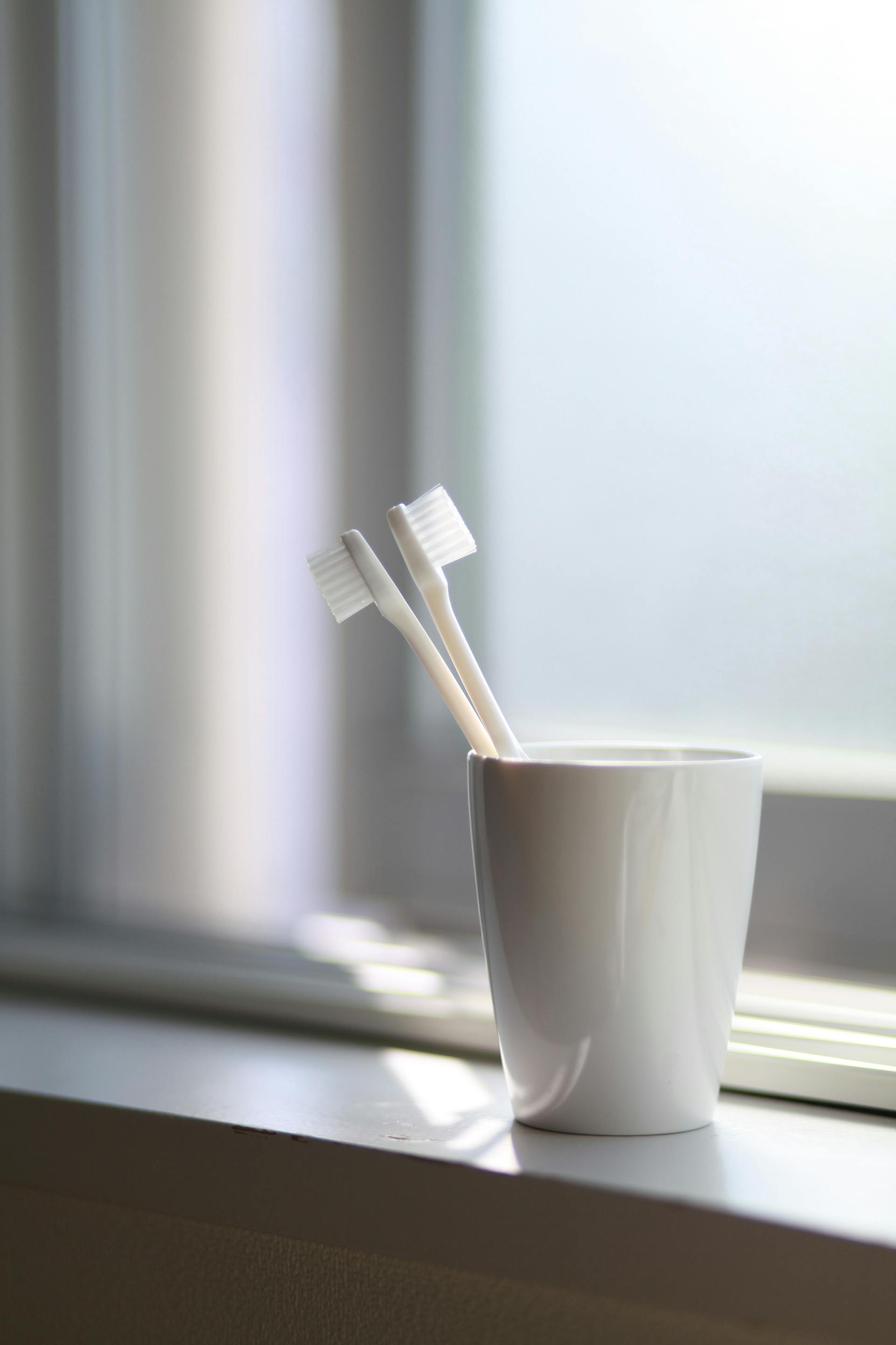 Zahnbürsten in einer Tasse | Quelle: Pexels