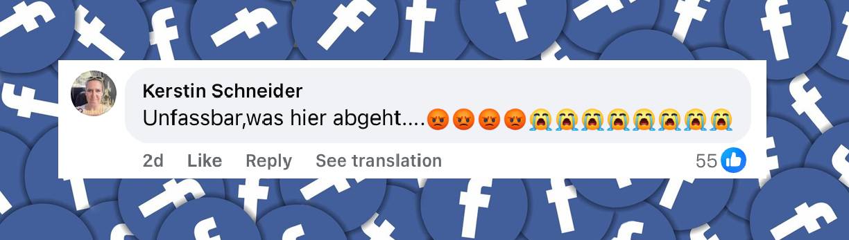 Reaktionen der Intenetnutzer über den Fall | Quelle: facebook.com/share/v/1CohhWrEgm/