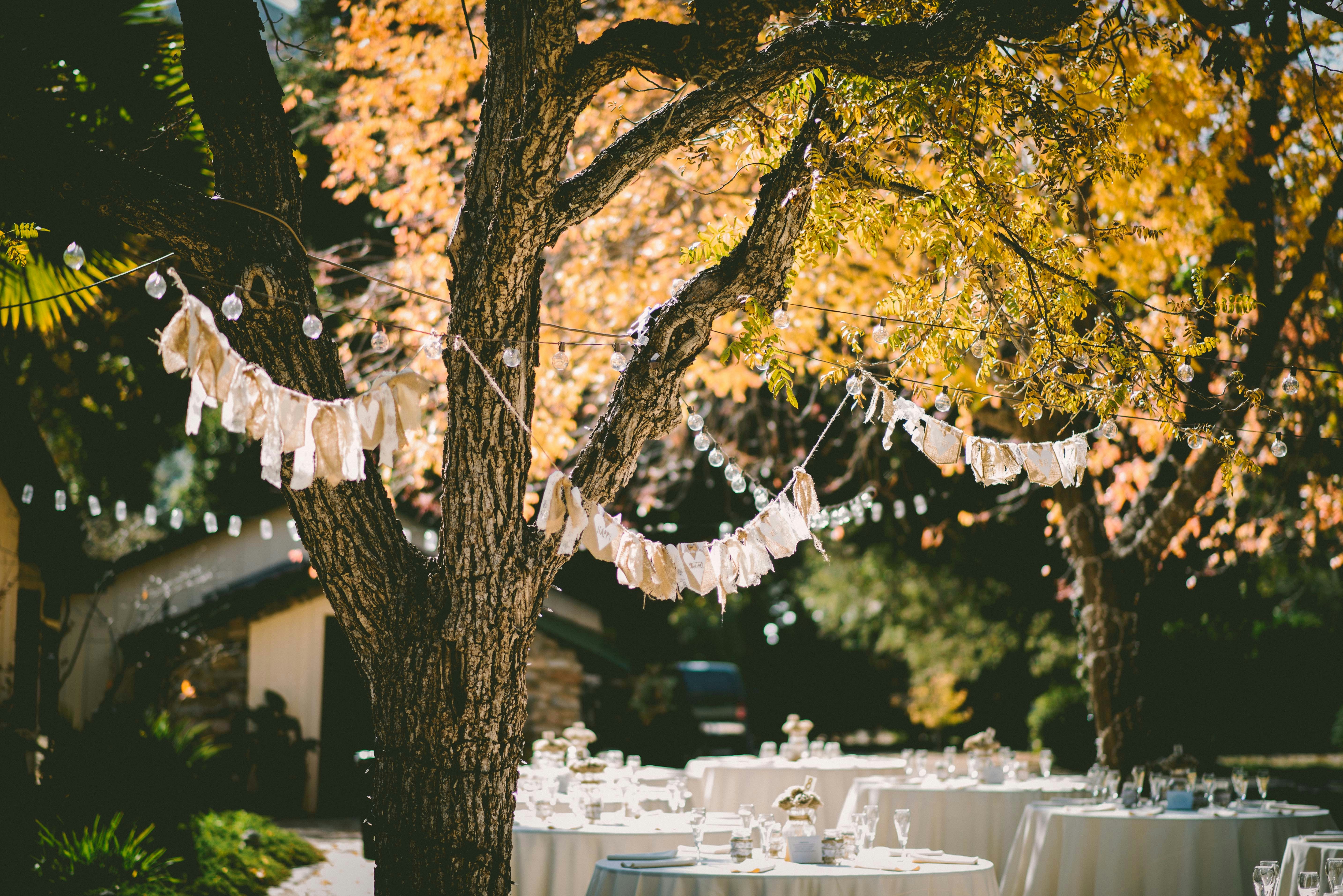 Eine Party im Hinterhof | Quelle: Pexels