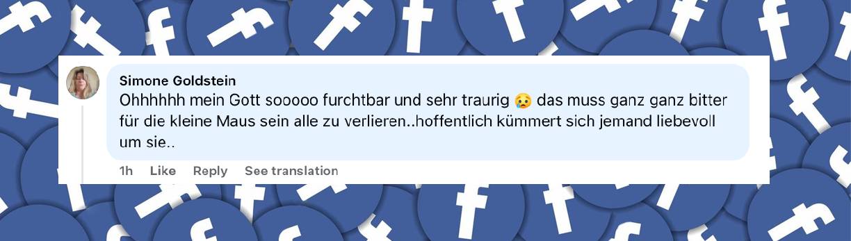 Facebook-Kommentar | Quelle: https://www.facebook.com/RTLcom/posts/pfbid02EaTBSFuPXWcyZ9zqTejAqAbrreBMoXgEfAwrahPx6oZAdapyCbjVLiLYWAwxussvl?rdid=7b0PQDNSIOzgT2zq#