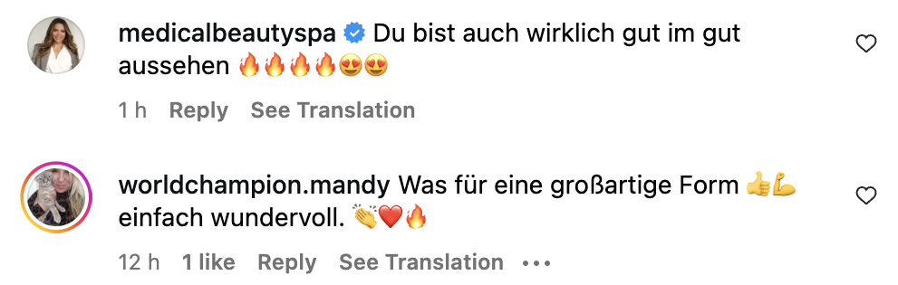 Screenshot eines Kommentars | Quelle: Instagram/sylviemeis