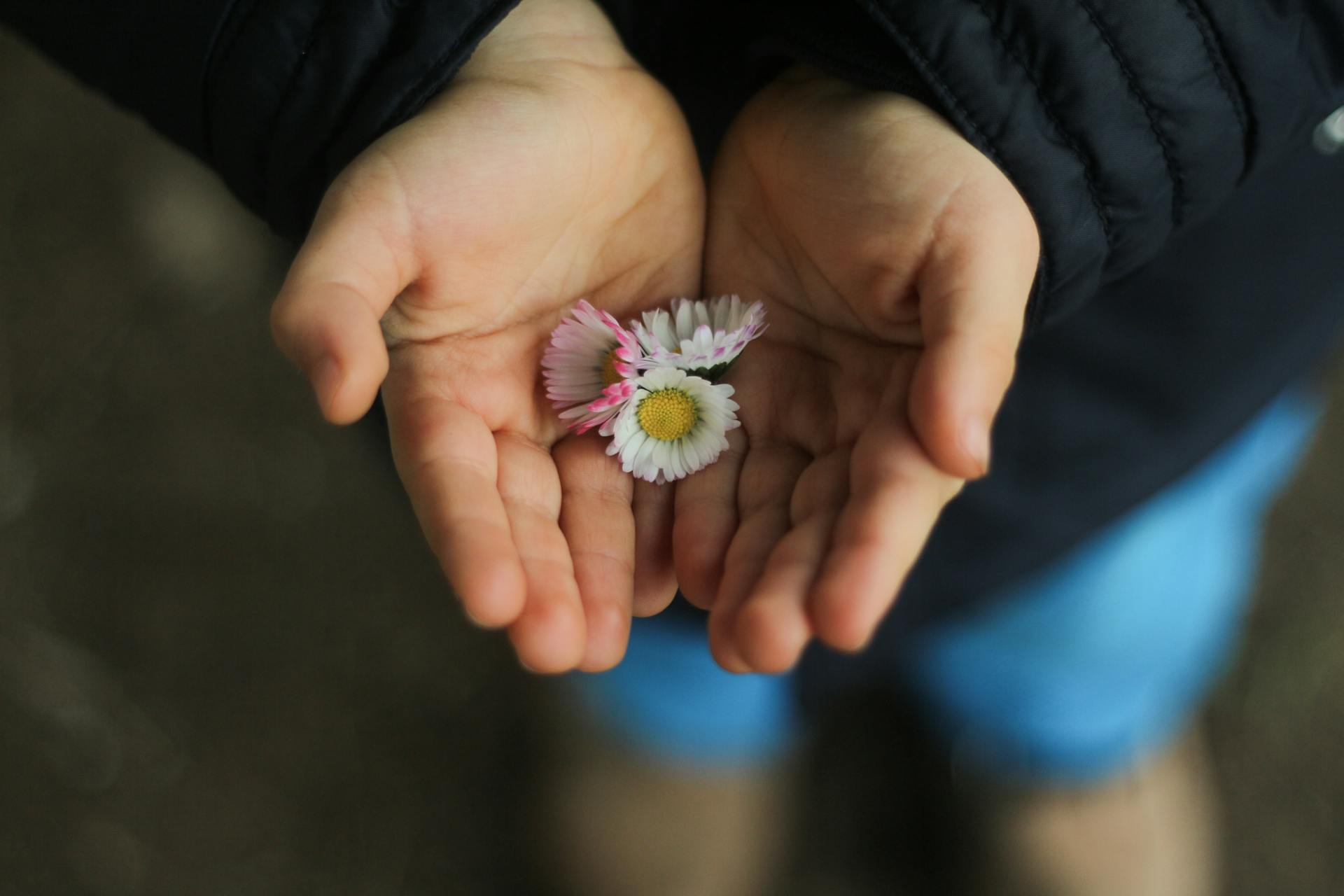 Ein Kind hält Blumen | Quelle: Pexels