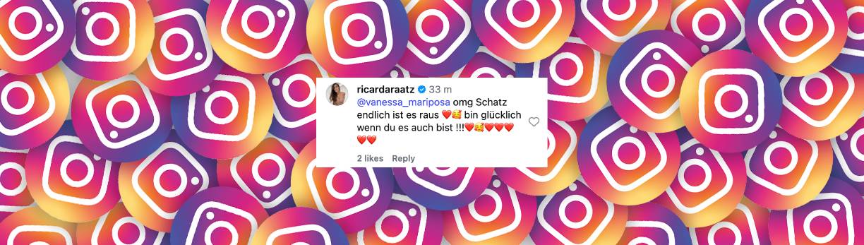 Nutzer-Kommentar | Quelle: Instagram/vanessa_mariposa  und  tom.krauss