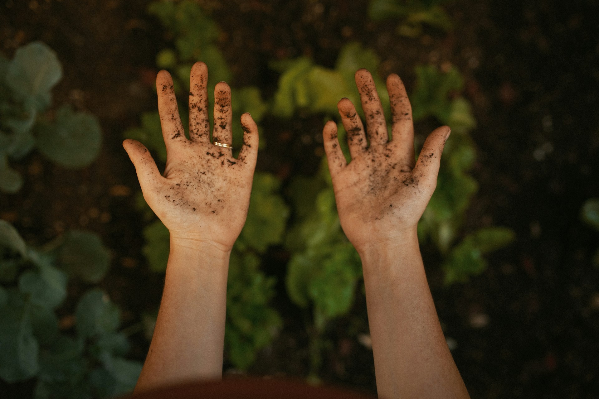 Eine Person, die ihre schmutzigen Hände zur Schau stellt | Quelle: Unsplash