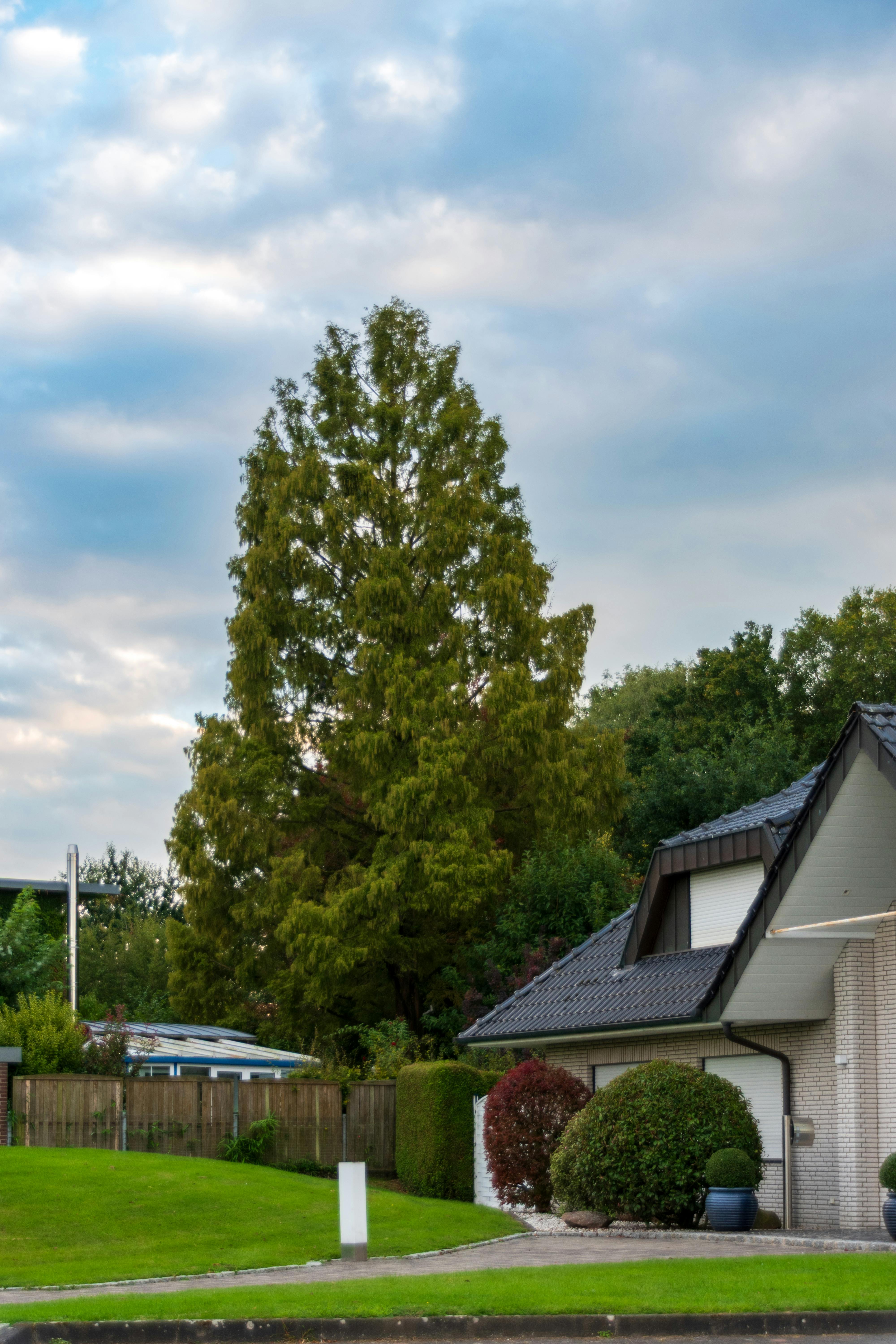 Ein Haus in einer schönen Nachbarschaft | Quelle: Pexels