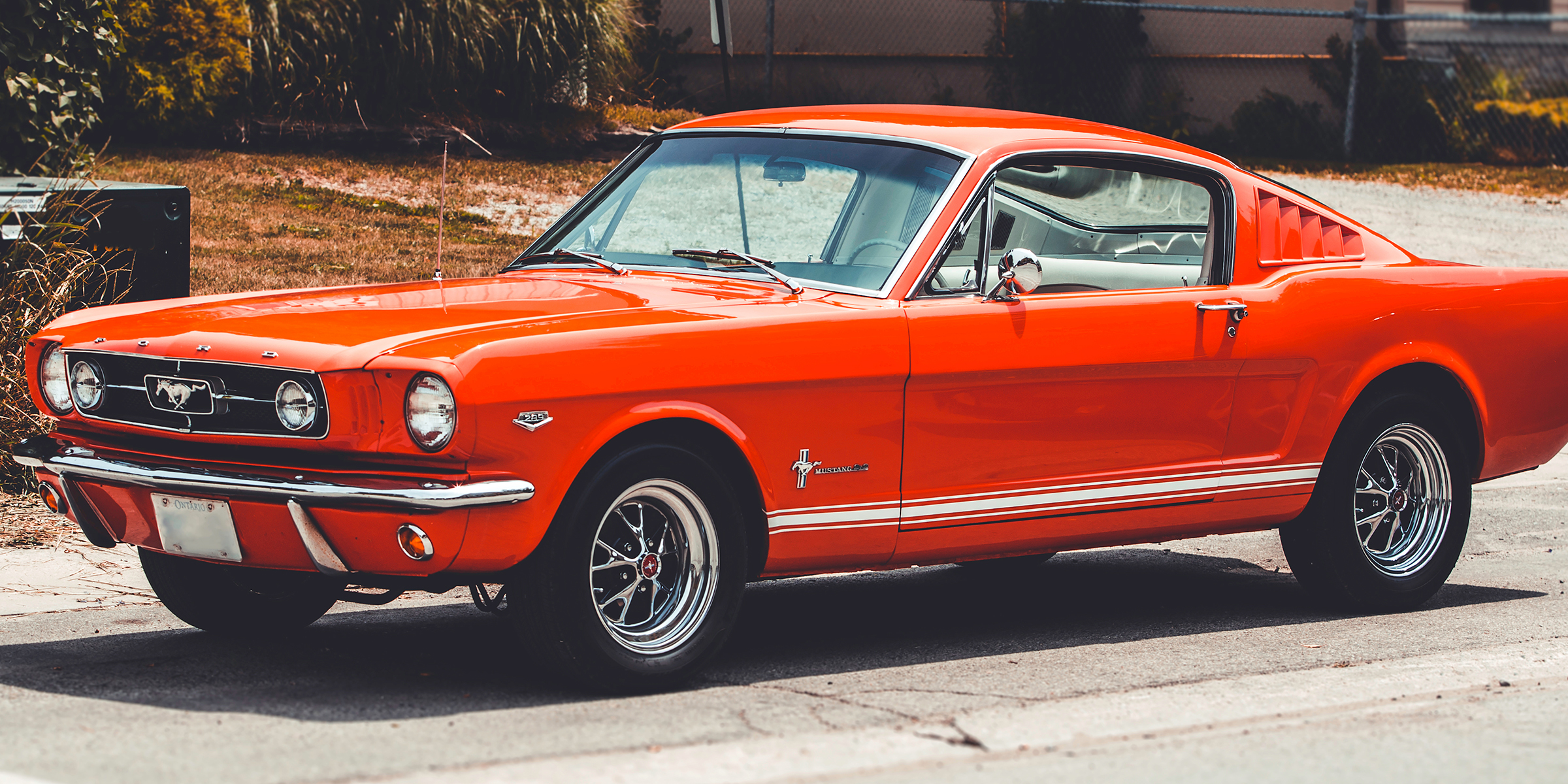 Ein alter Mustang | Quelle: Shutterstock