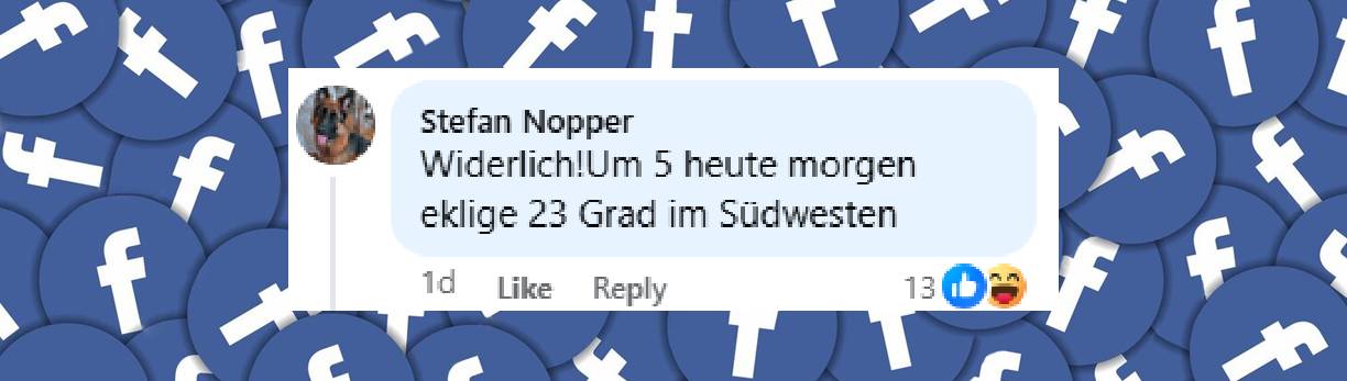 Zwischen Sorge, Spott und Hitze-Frust: Das schreiben Nutzer zur drohenden 44-Grad-Welle | Quelle: facebook.com/reel/1594813535307738