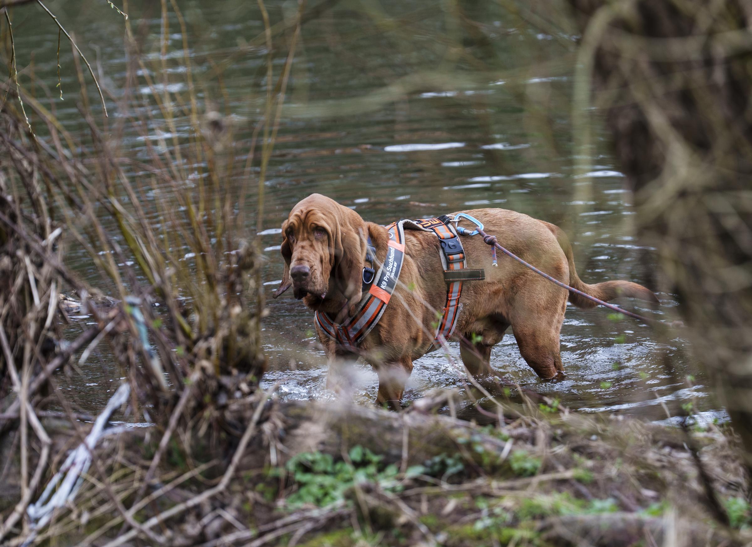 Symbolbild | Quelle: Getty Images