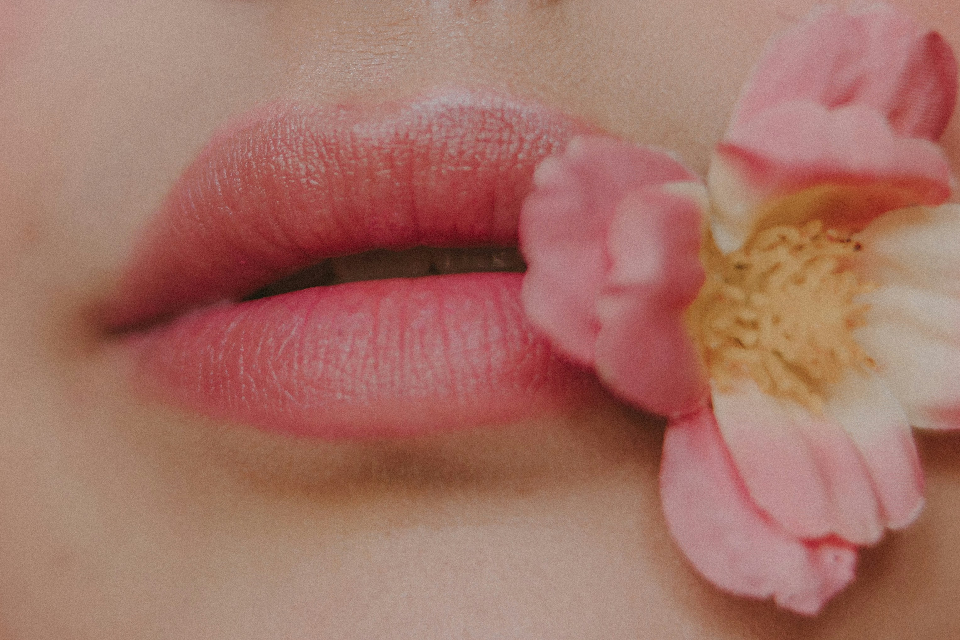 Der blassrosa Lippenstift einer Frau | Quelle: Unsplash