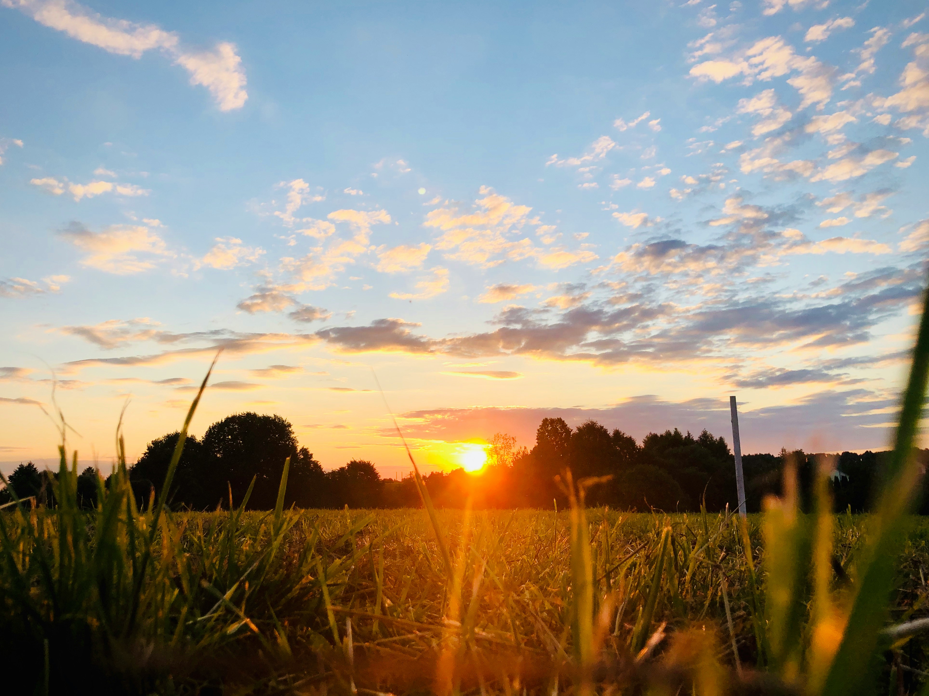 Eine schöne Landschaft | Quelle: Unsplash