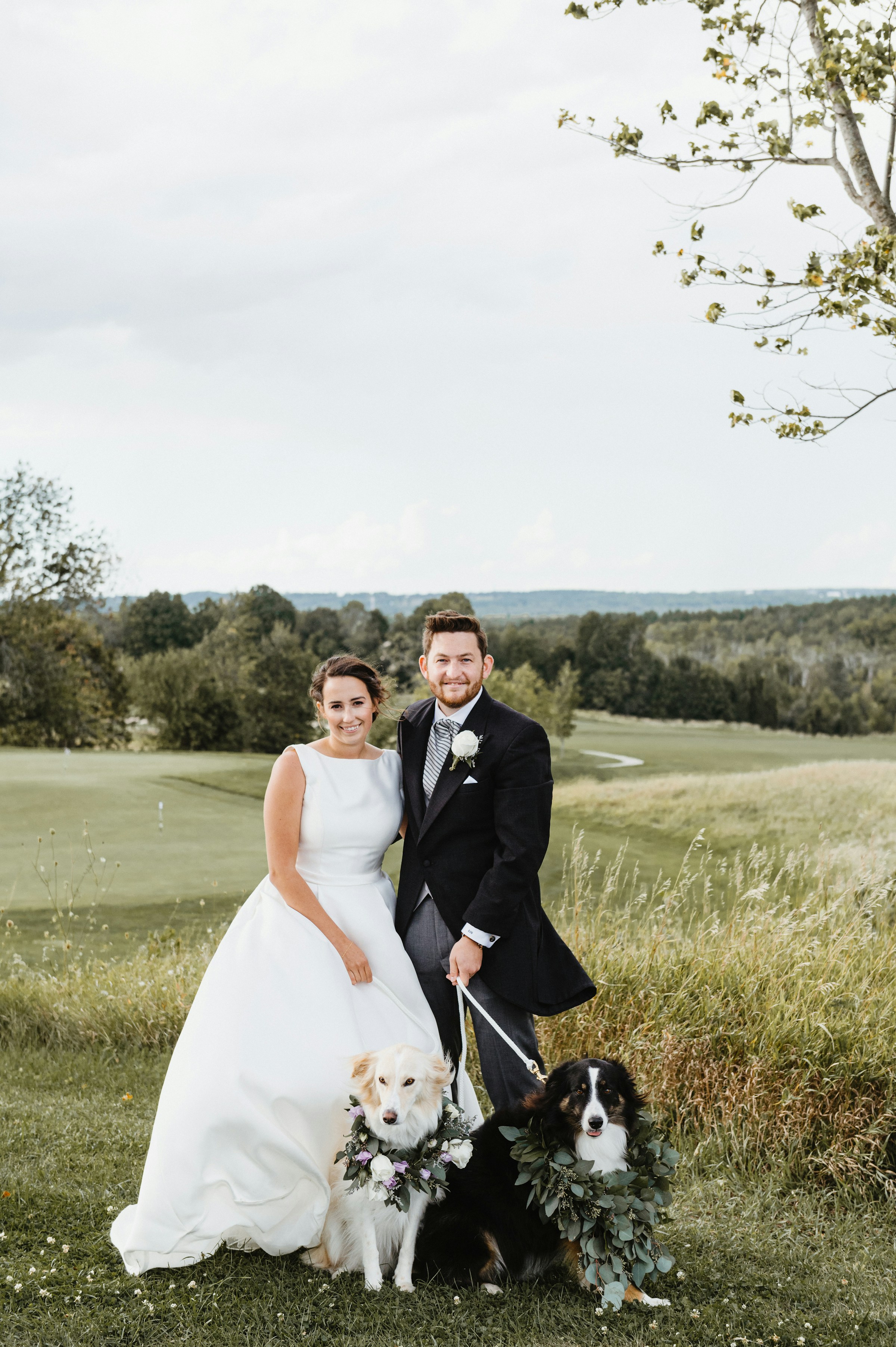 Braut und Bräutigam stehen mit ihren Hunden auf einer Wiese | Quelle: Unsplash