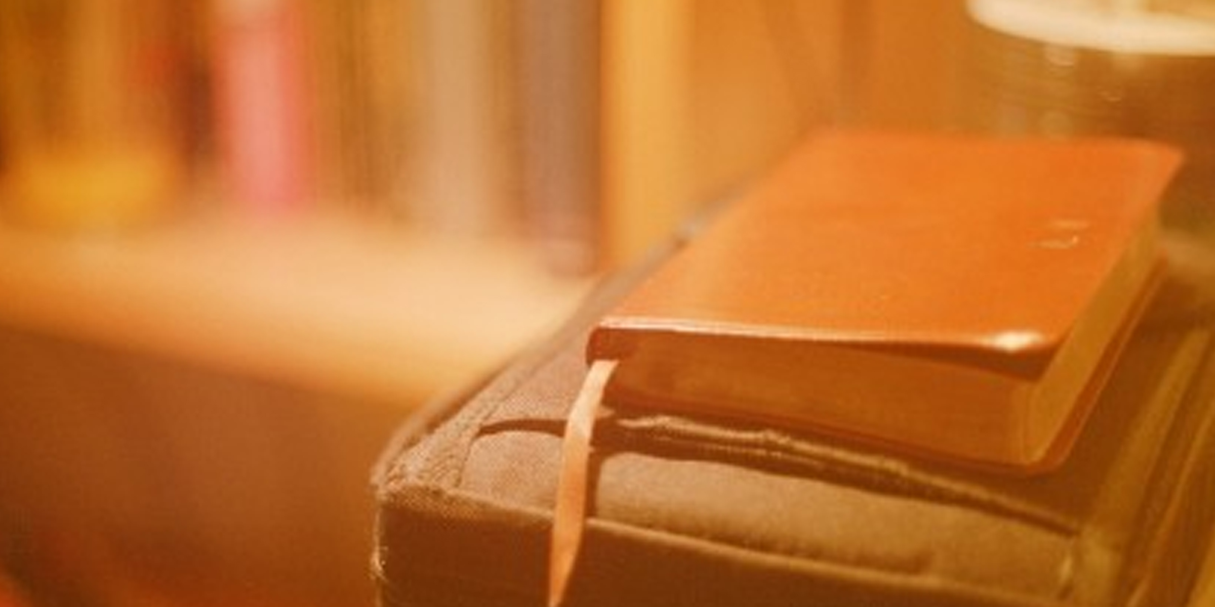 Ein in Leder gebundenes Buch | Quelle: Flickr(CC BY-SA 2.0)