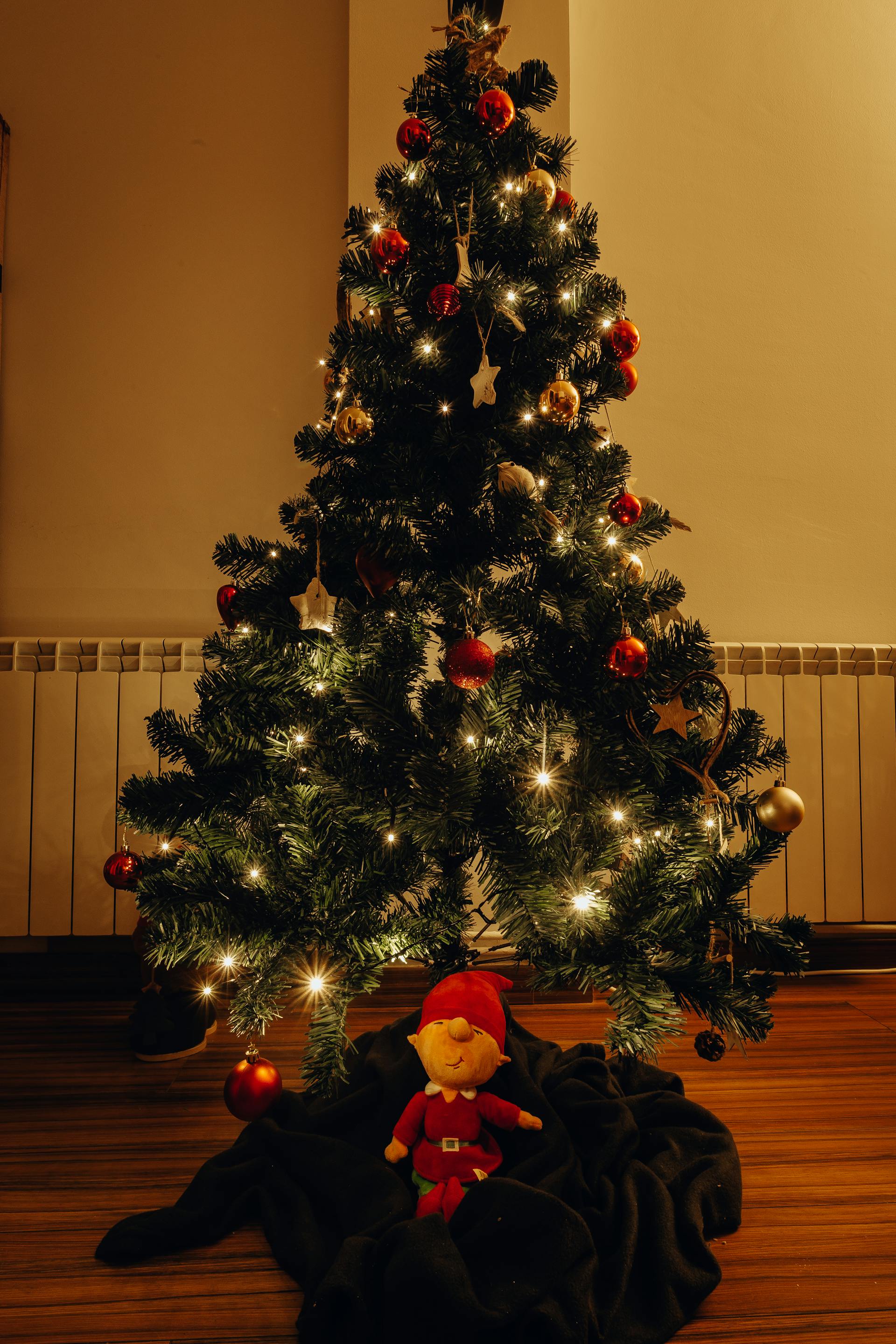 Ein Weihnachtsbaum | Quelle: Pexels