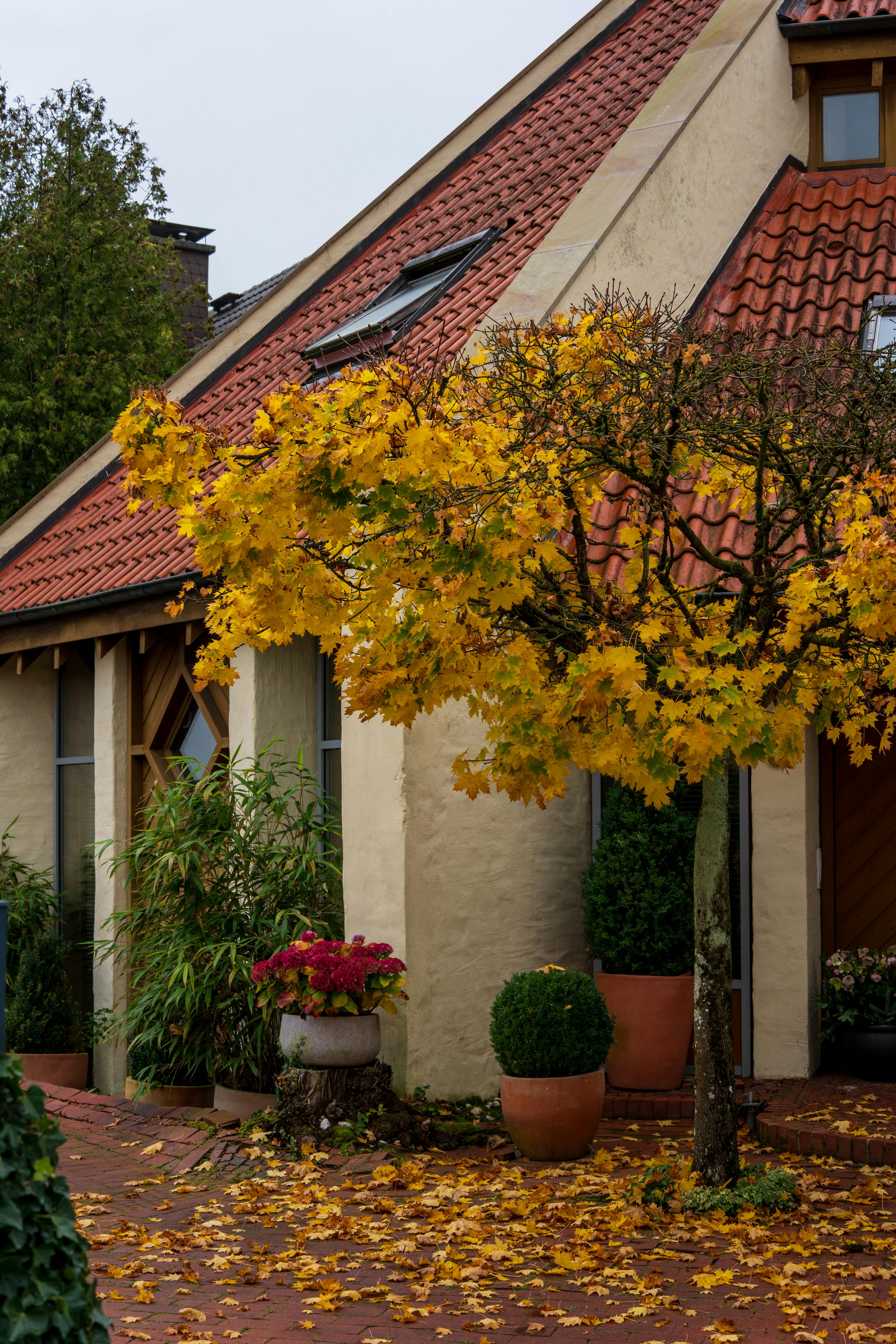 Ein ruhiges Haus | Quelle: Pexels