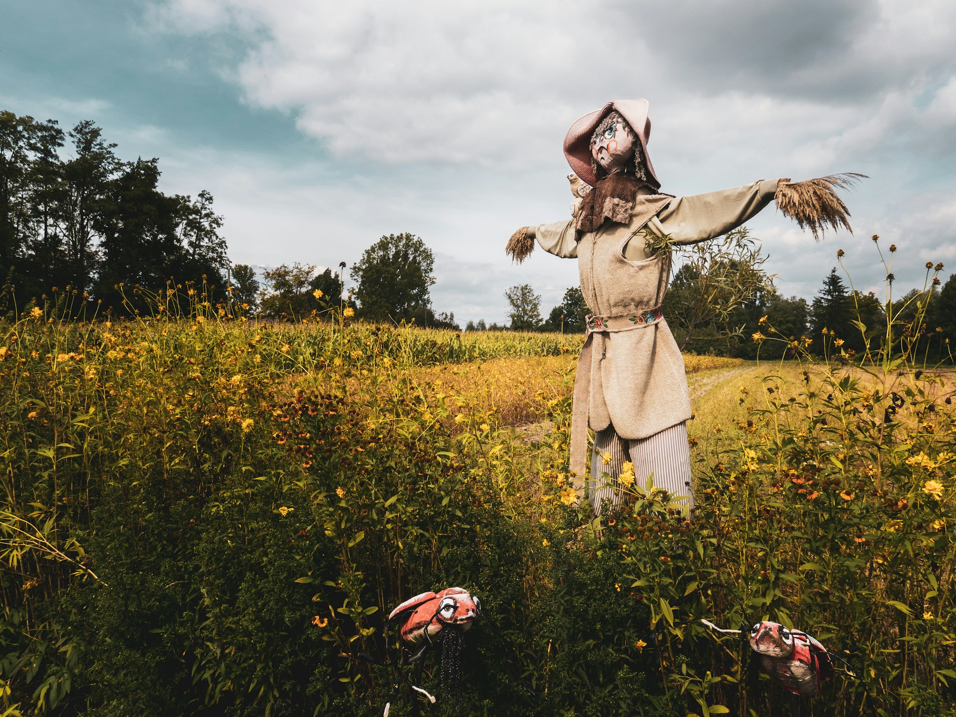 Eine Vogelscheuche auf einem Feld | Quelle: Unsplash