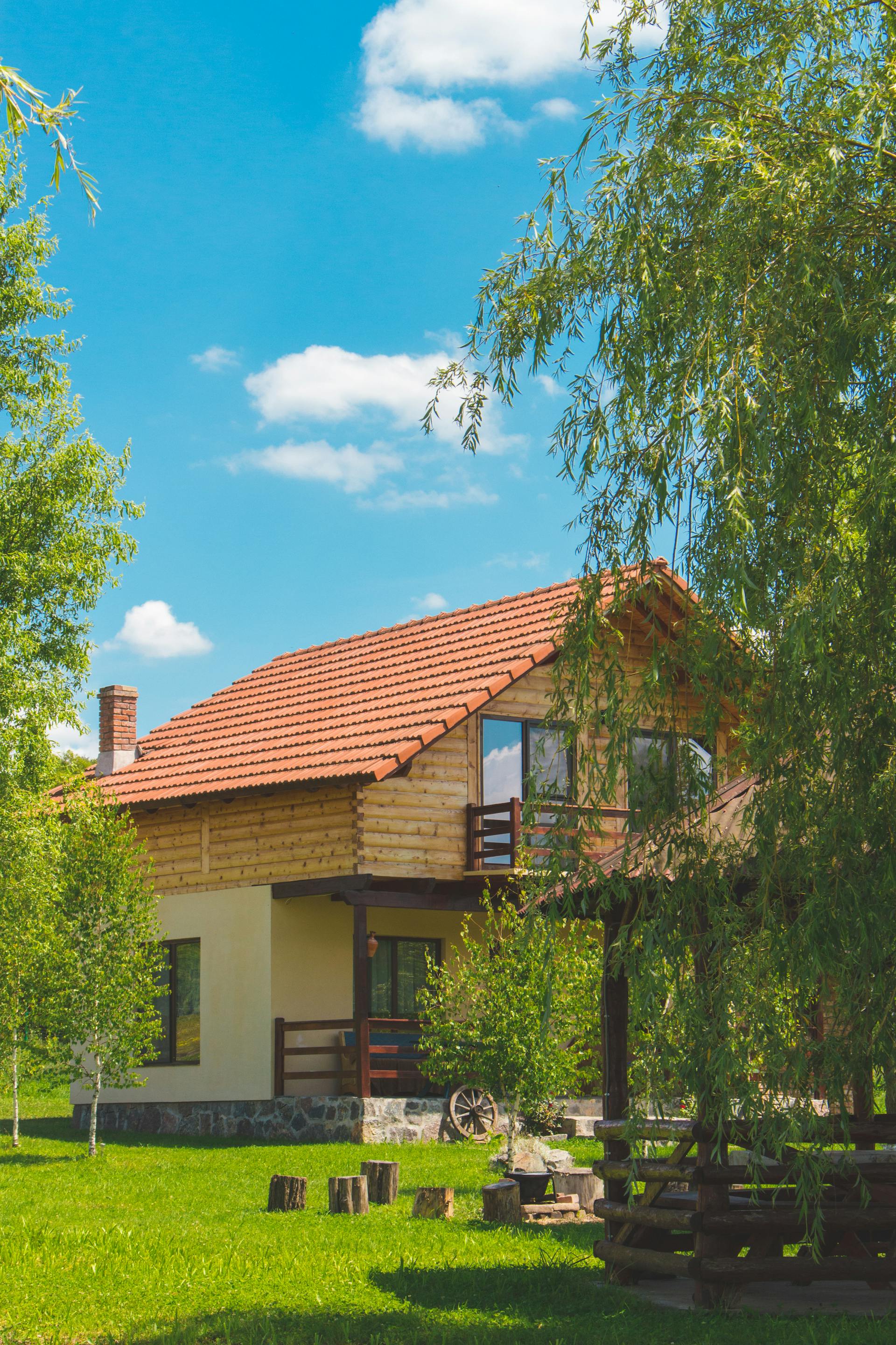 Bäume vor einem Haus | Quelle: Pexels