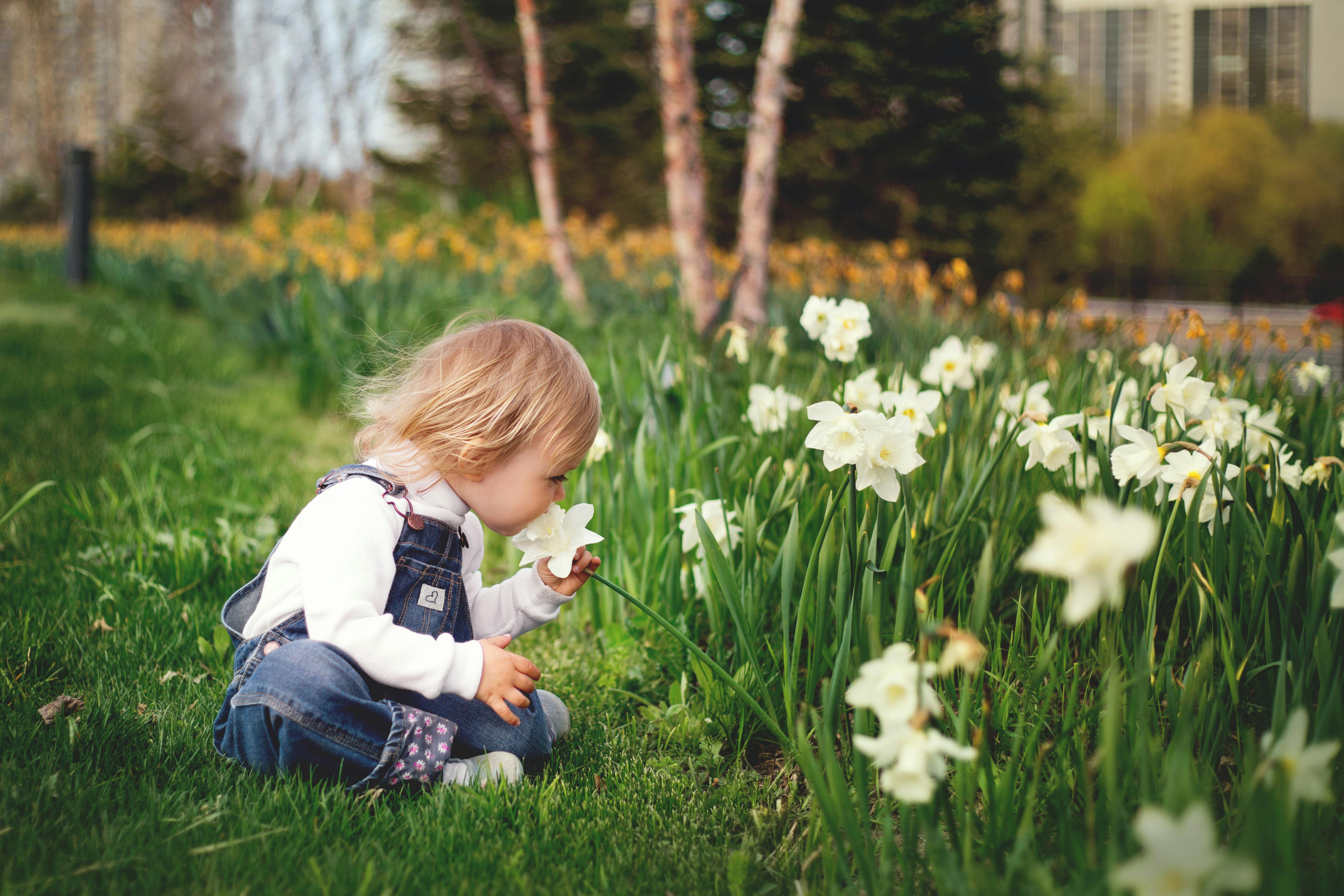Ein kleines Mädchen riecht an einer Blume | Quelle: Pexels