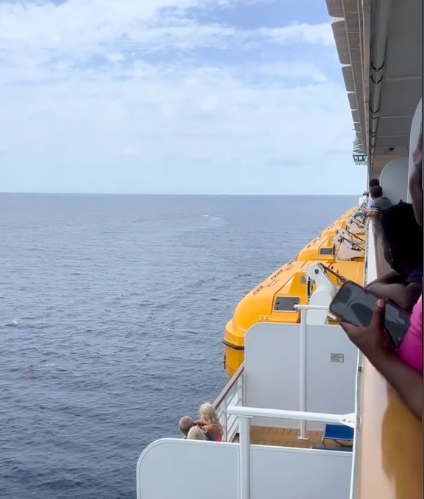 Passagiere beobachten die Szene vom Balkon des Schiffes aus, aufgenommen am 29. Juni 2025. | Quelle: TikTok/@lifeofchandler