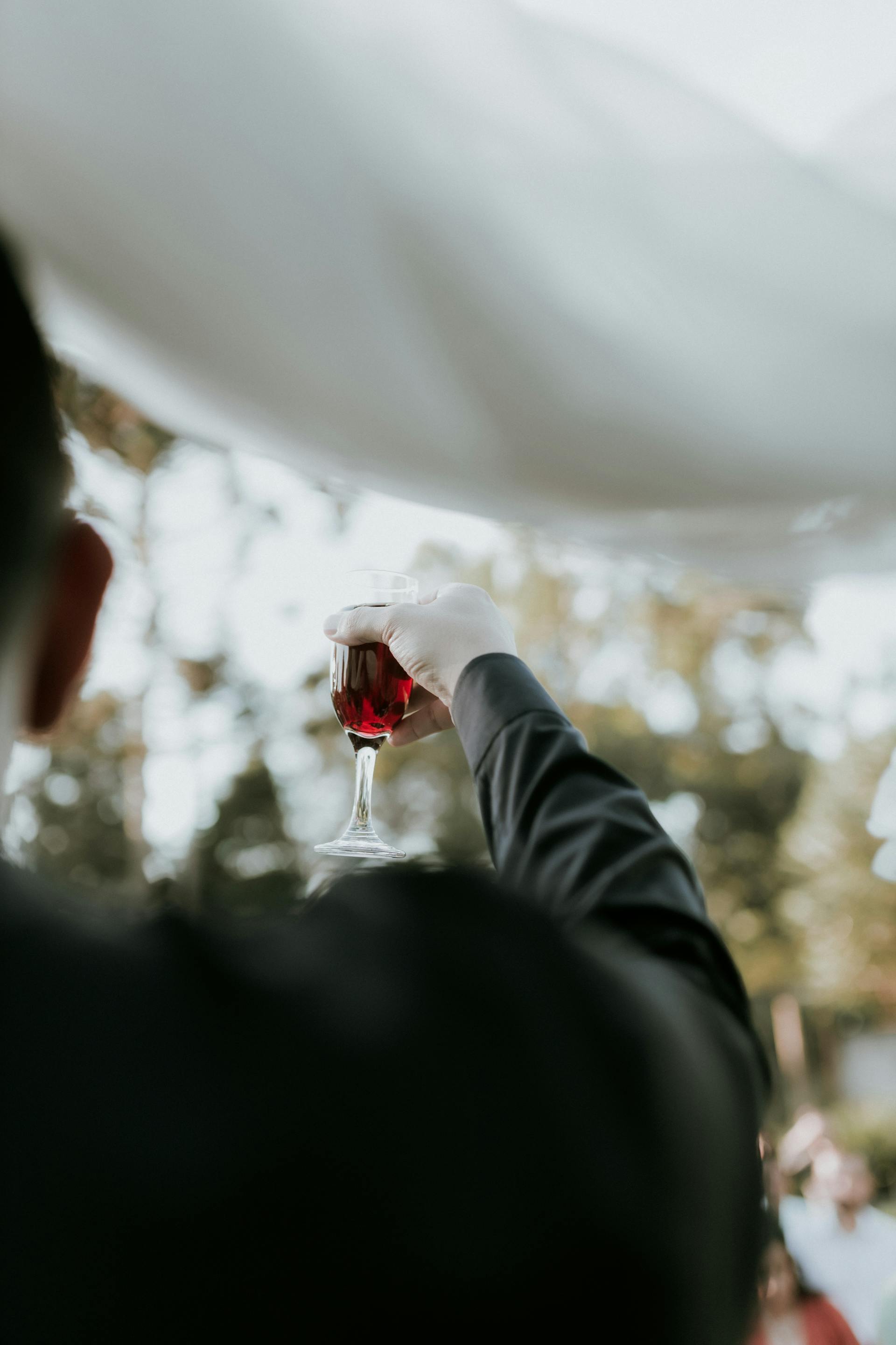Eine Nahaufnahme eines Mannes, der mit Wein anstößt | Quelle: Pexels