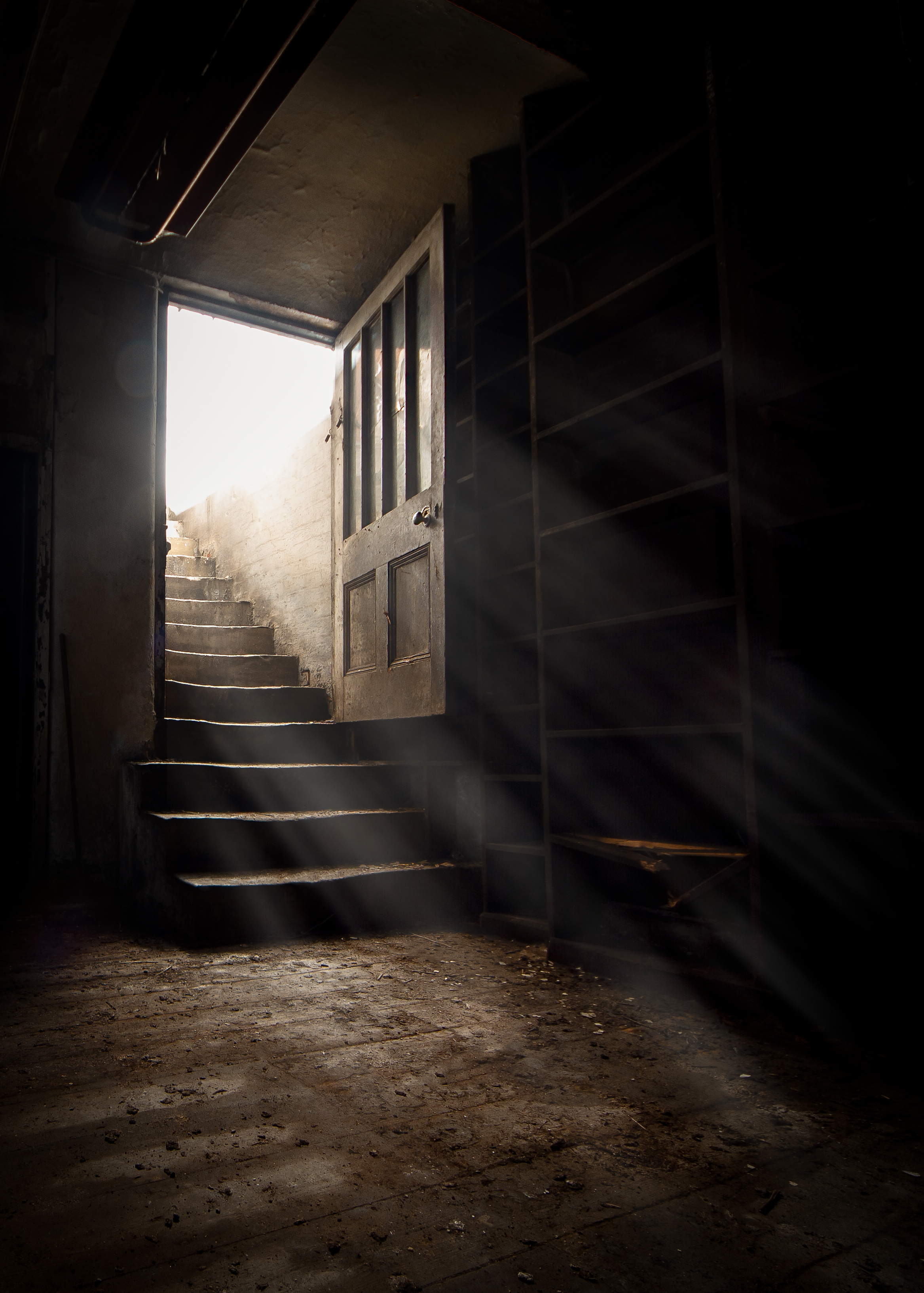 Eine geöffnete Tür zum Keller | Quelle: Shutterstock