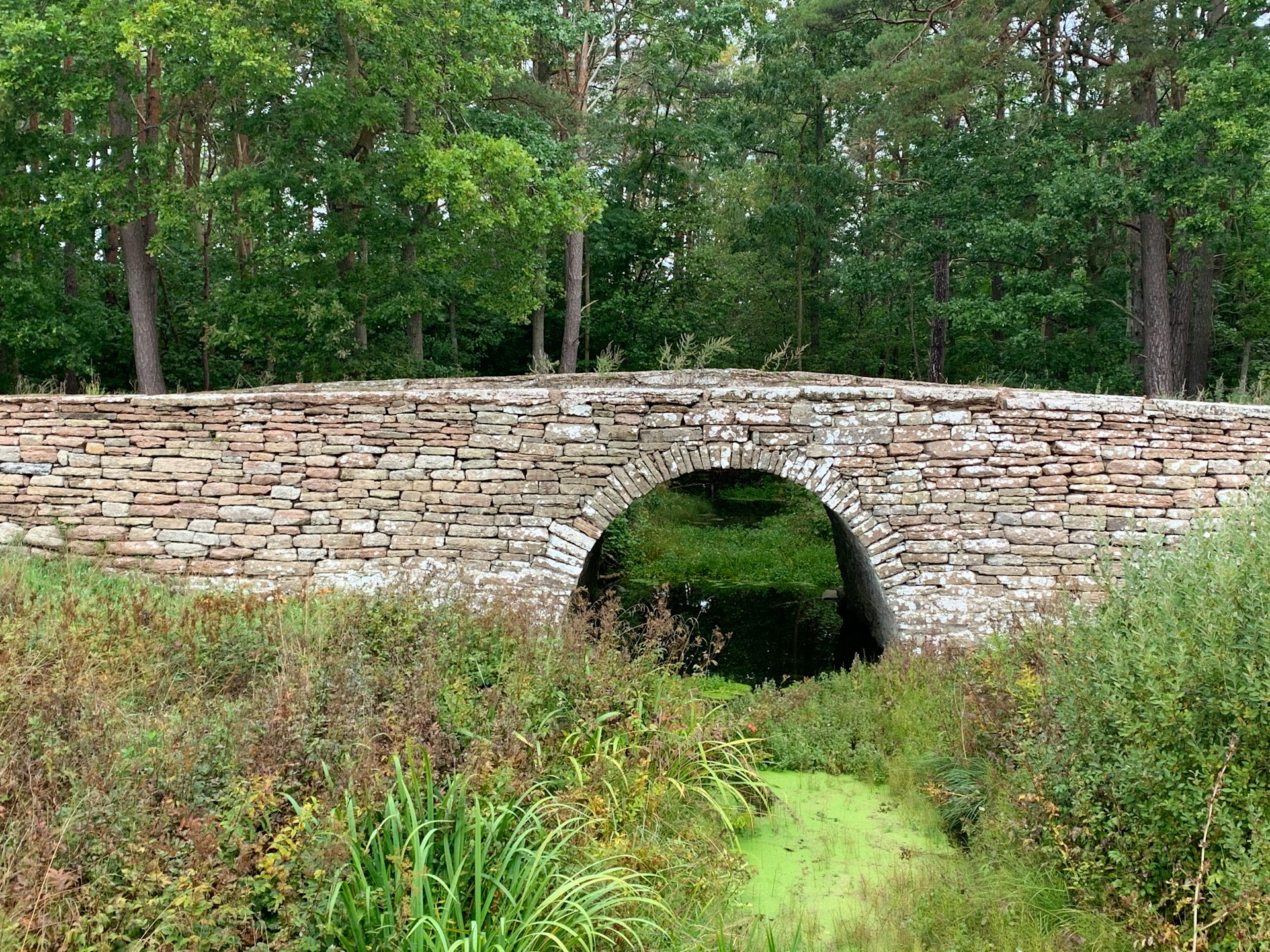 Eine Steinbrücke | Quelle: Unsplash