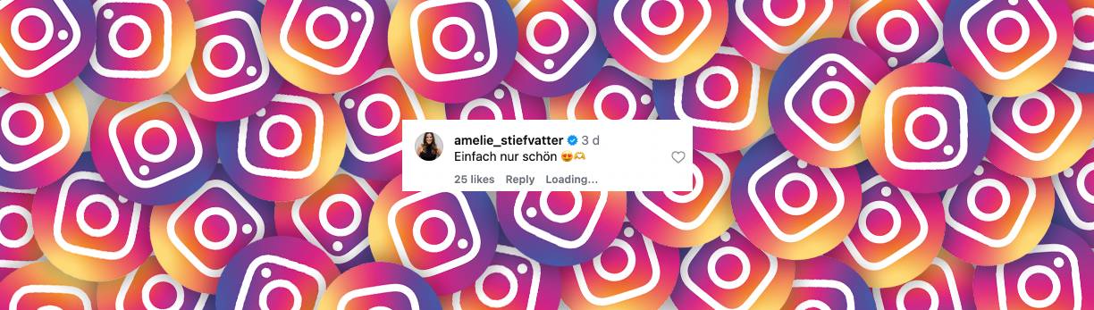 Nutzer-Kommentar | Quelle: Instagram/leawagner