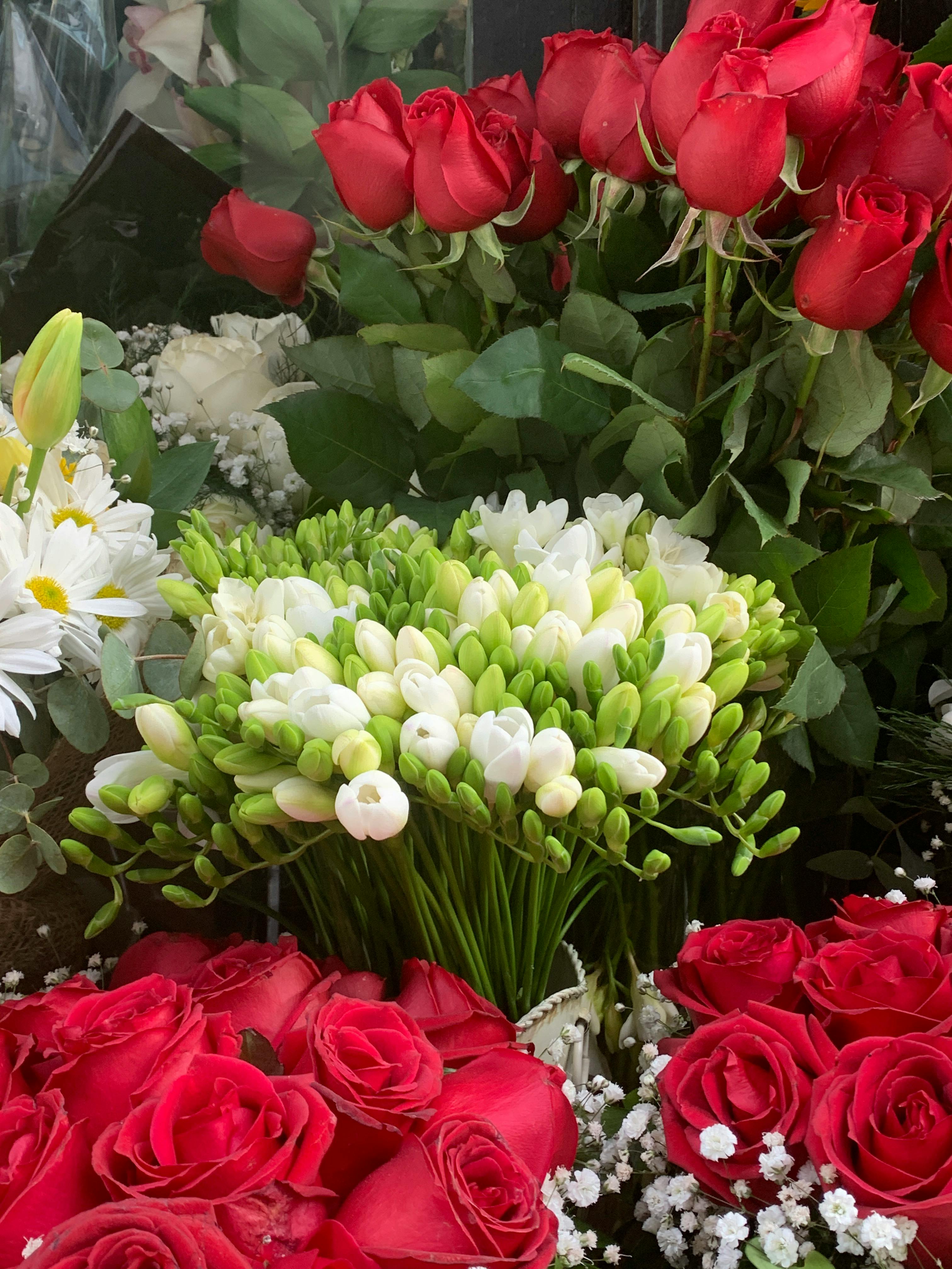 Rosen und Freesien in einem Blumenladen | Quelle: Pexels