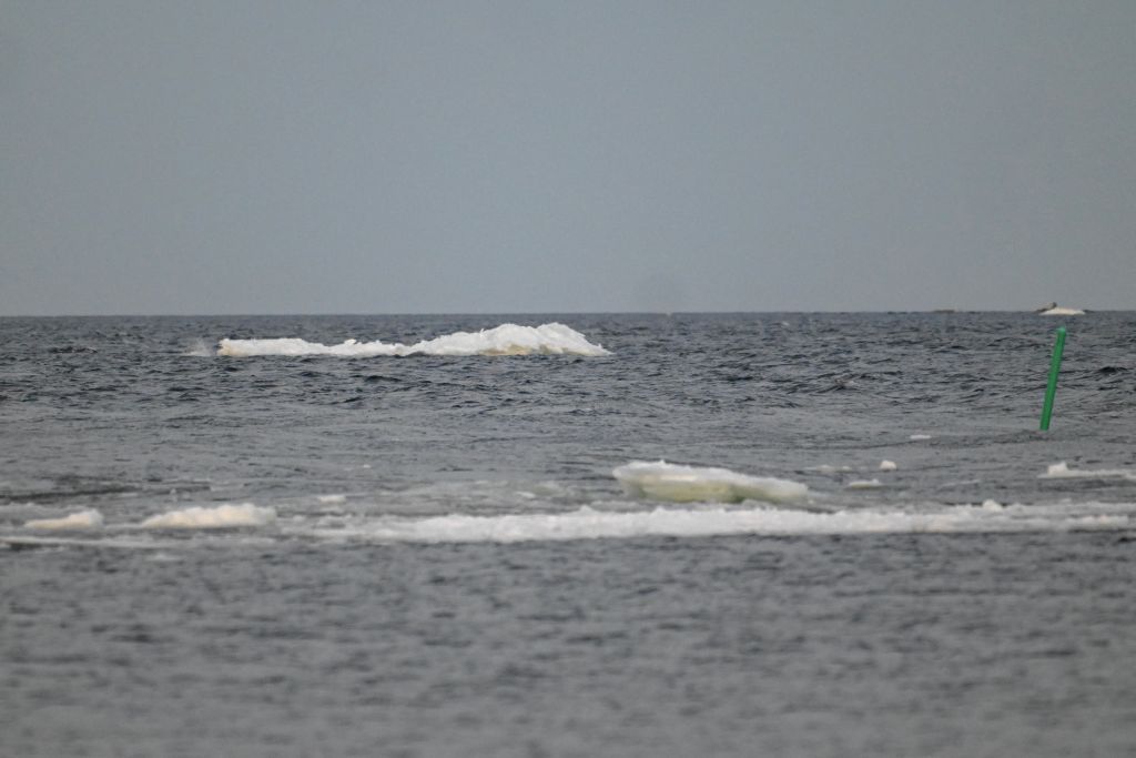 Symbolbild | Quelle: Getty Images