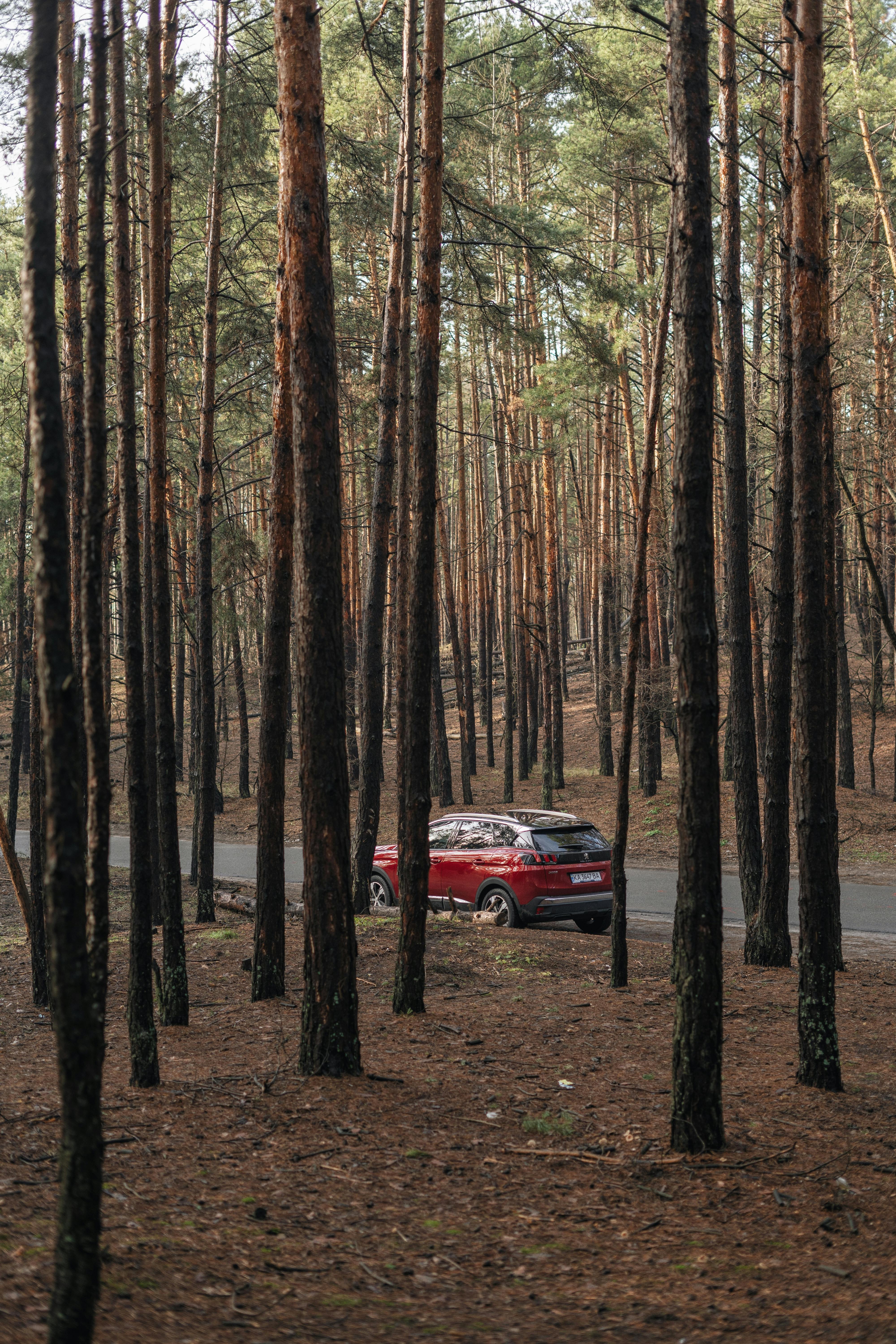 Ein Auto in Bewegung | Quelle: Pexels