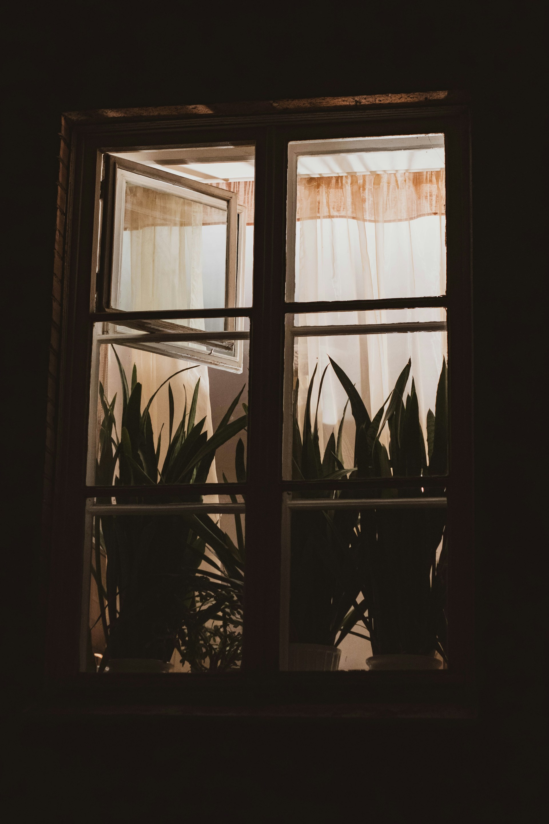 Ein Fenster | Quelle: Unsplash