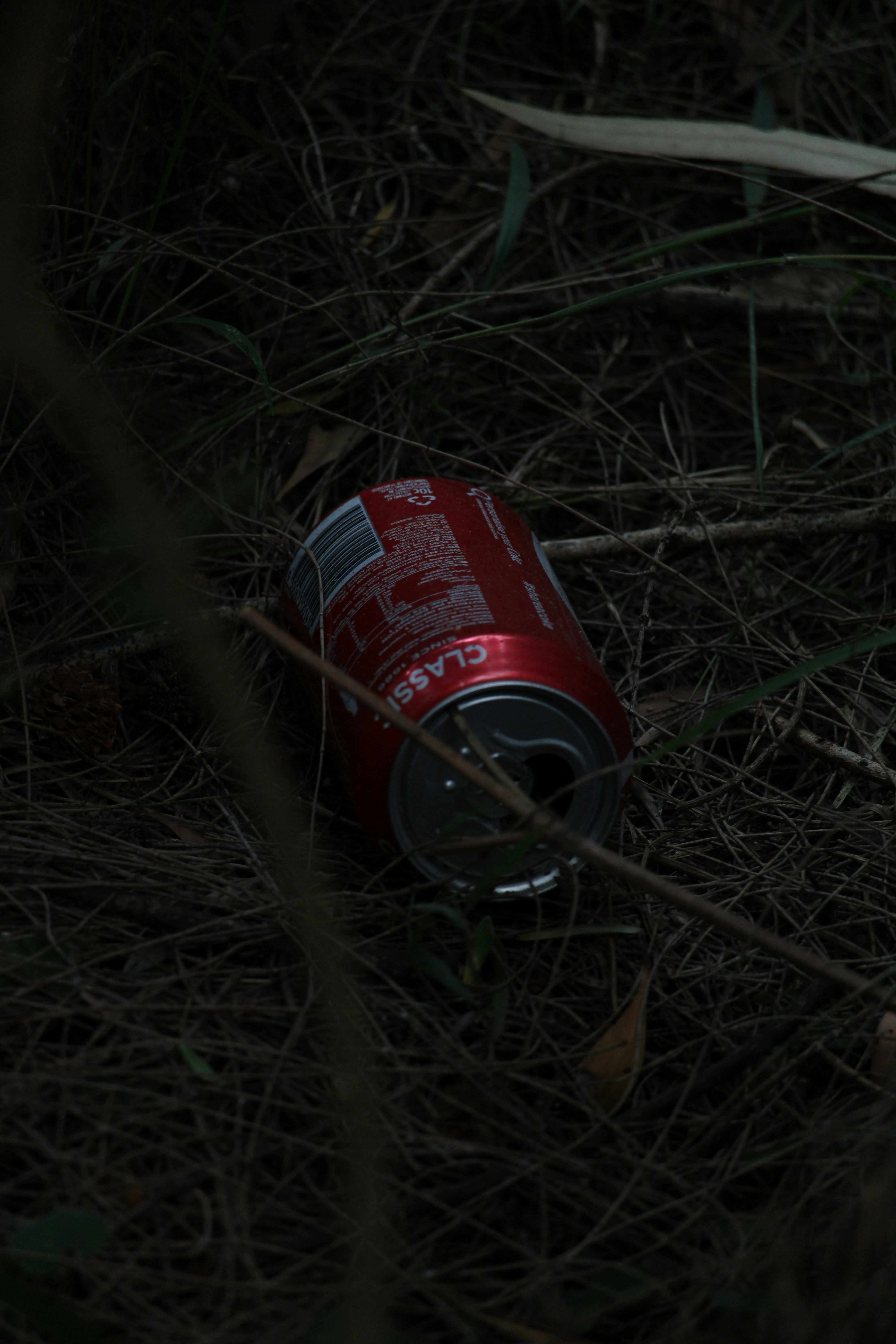 Eine leere Getränkedose, die im Gras liegt | Quelle: Unsplash