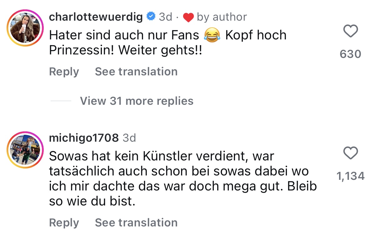 Kommentar zu ihrem Beitrag von einem Nutzer | Quelle: Instagram/mariereim_official