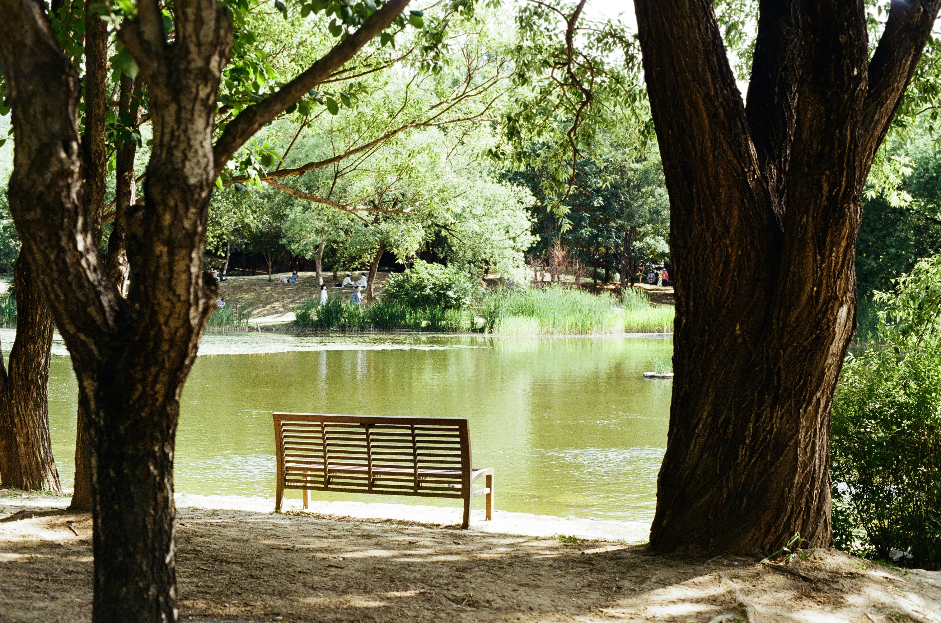 Eine Bank in einem Park | Quelle: Unsplash