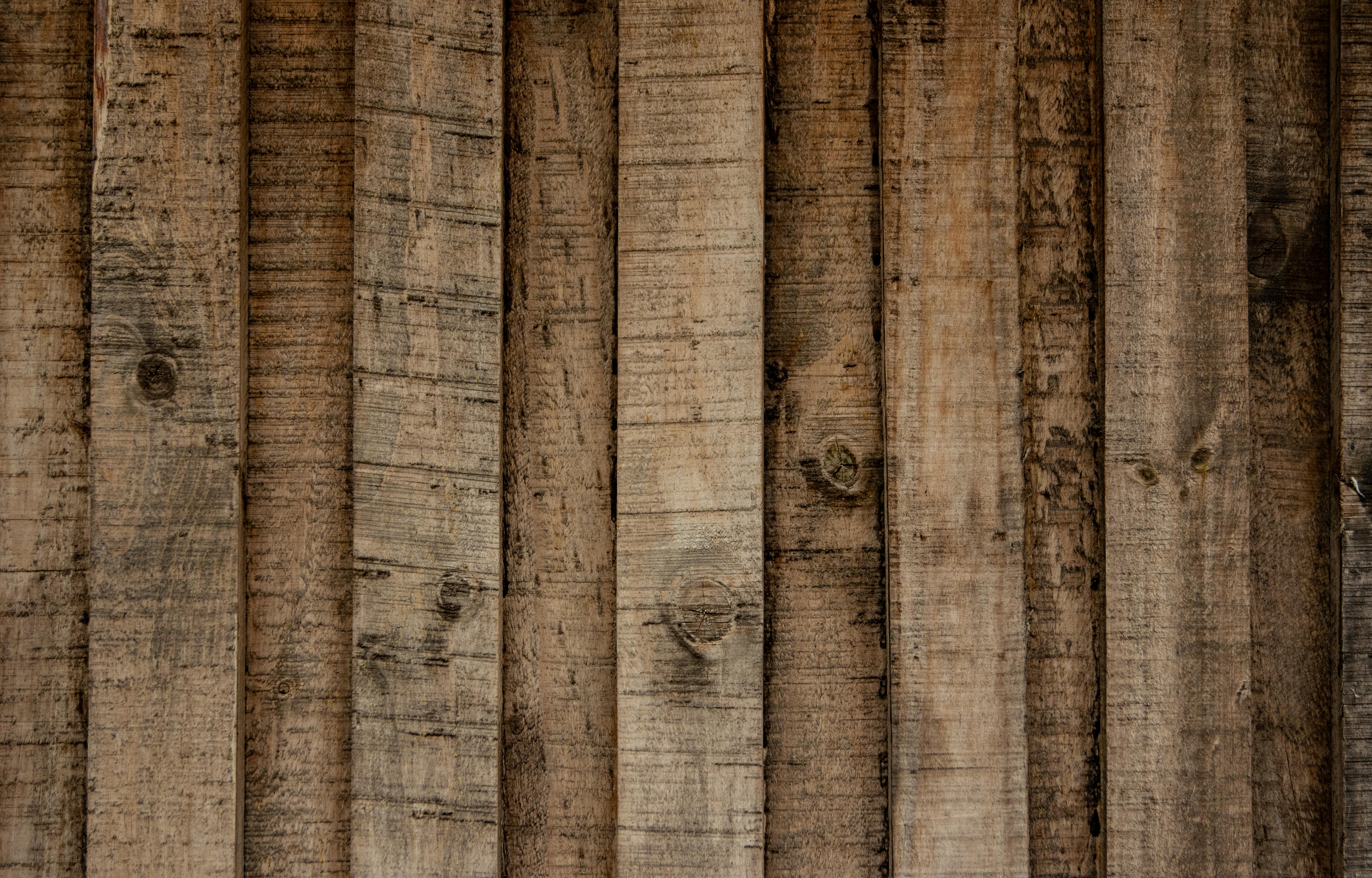 Wandpaneele aus Holz | Quelle: Pexels