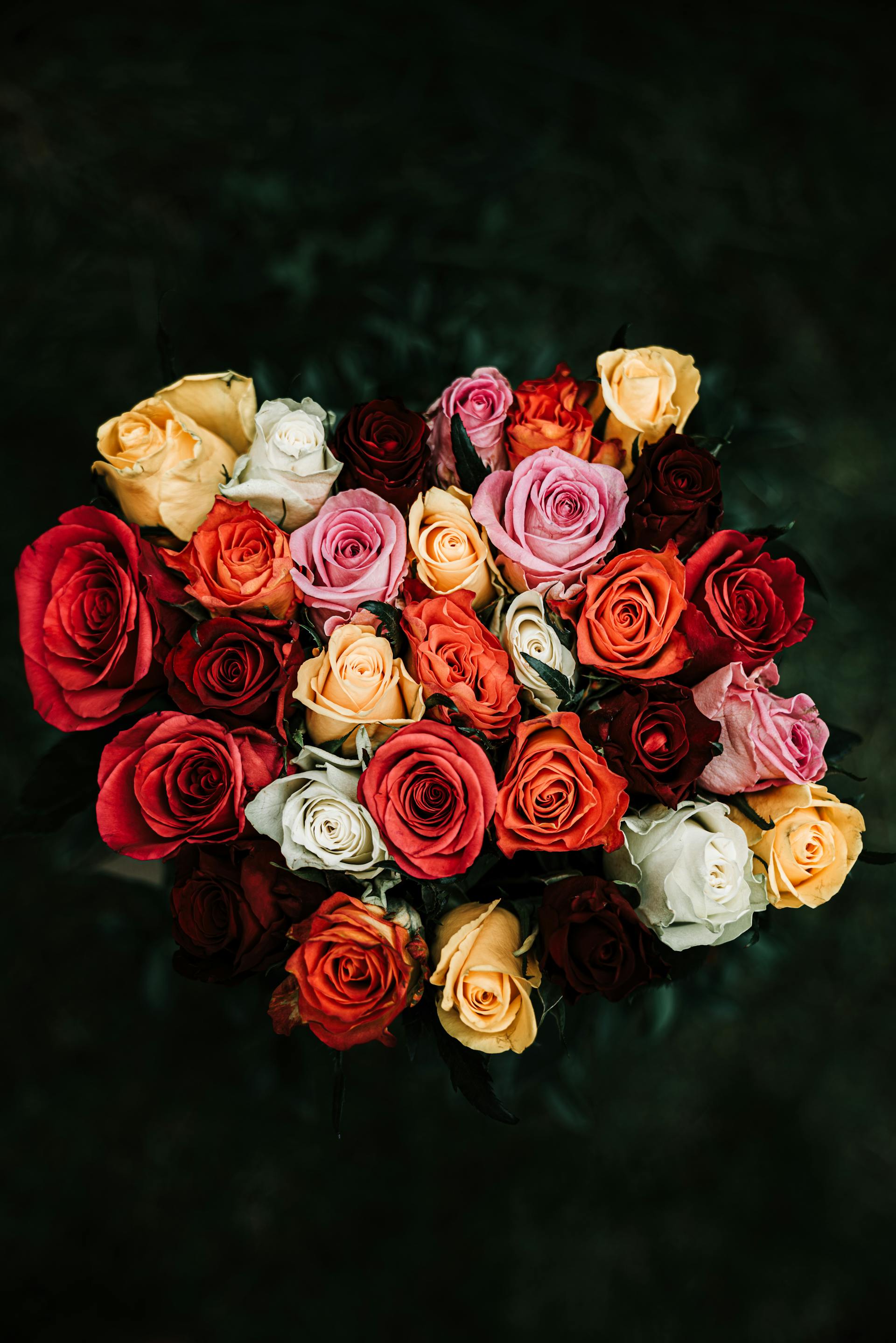 Ein Blumenstrauß aus Rosen | Quelle: Pexels