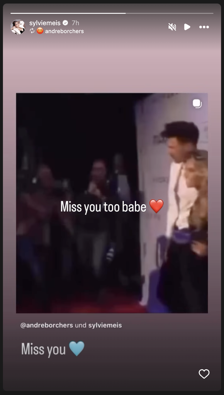 Instagram-Story | Quelle: instagram.com/sylviemeis