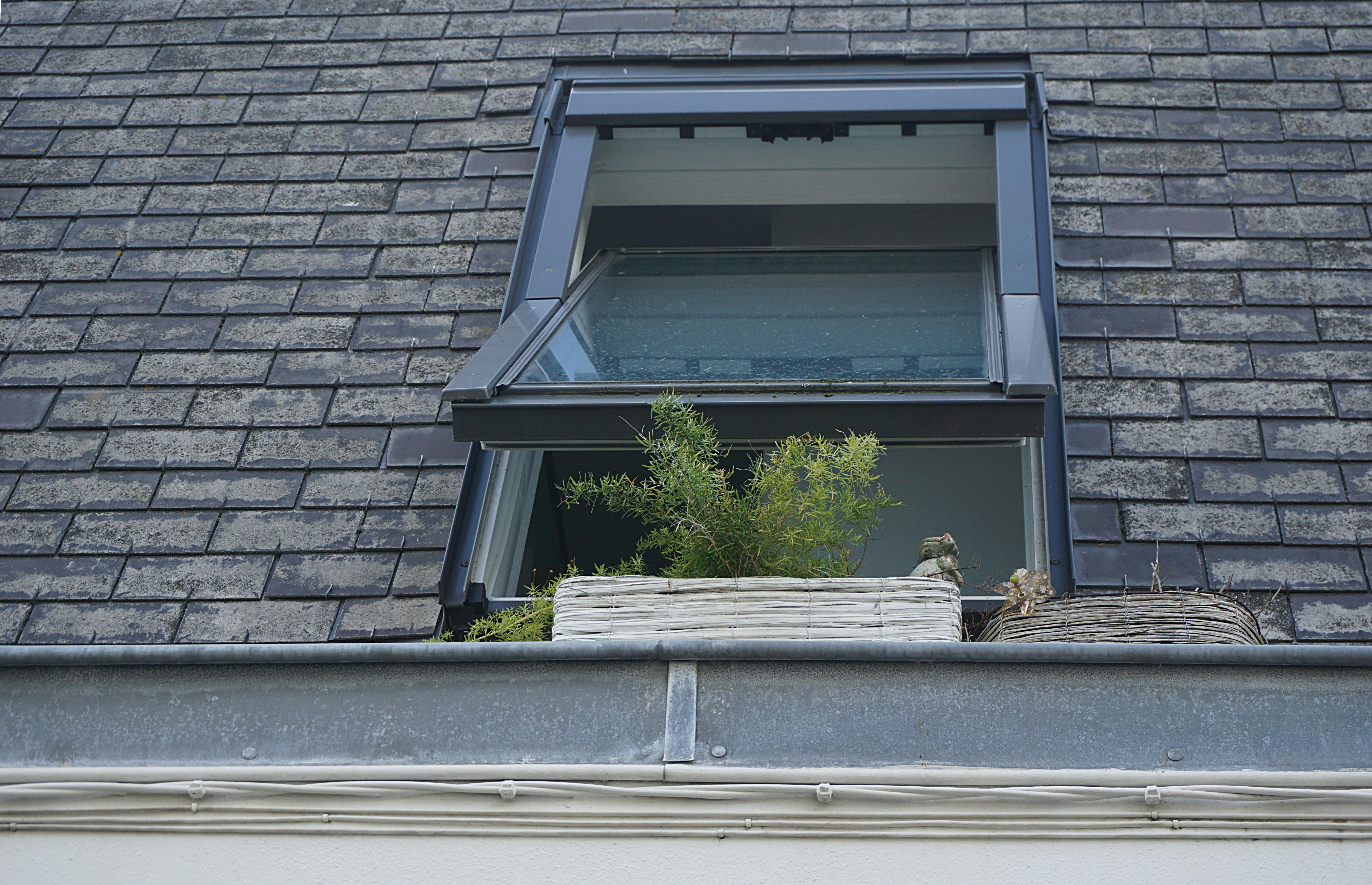 Das offene Fenster eines Hauses | Quelle: Pexels