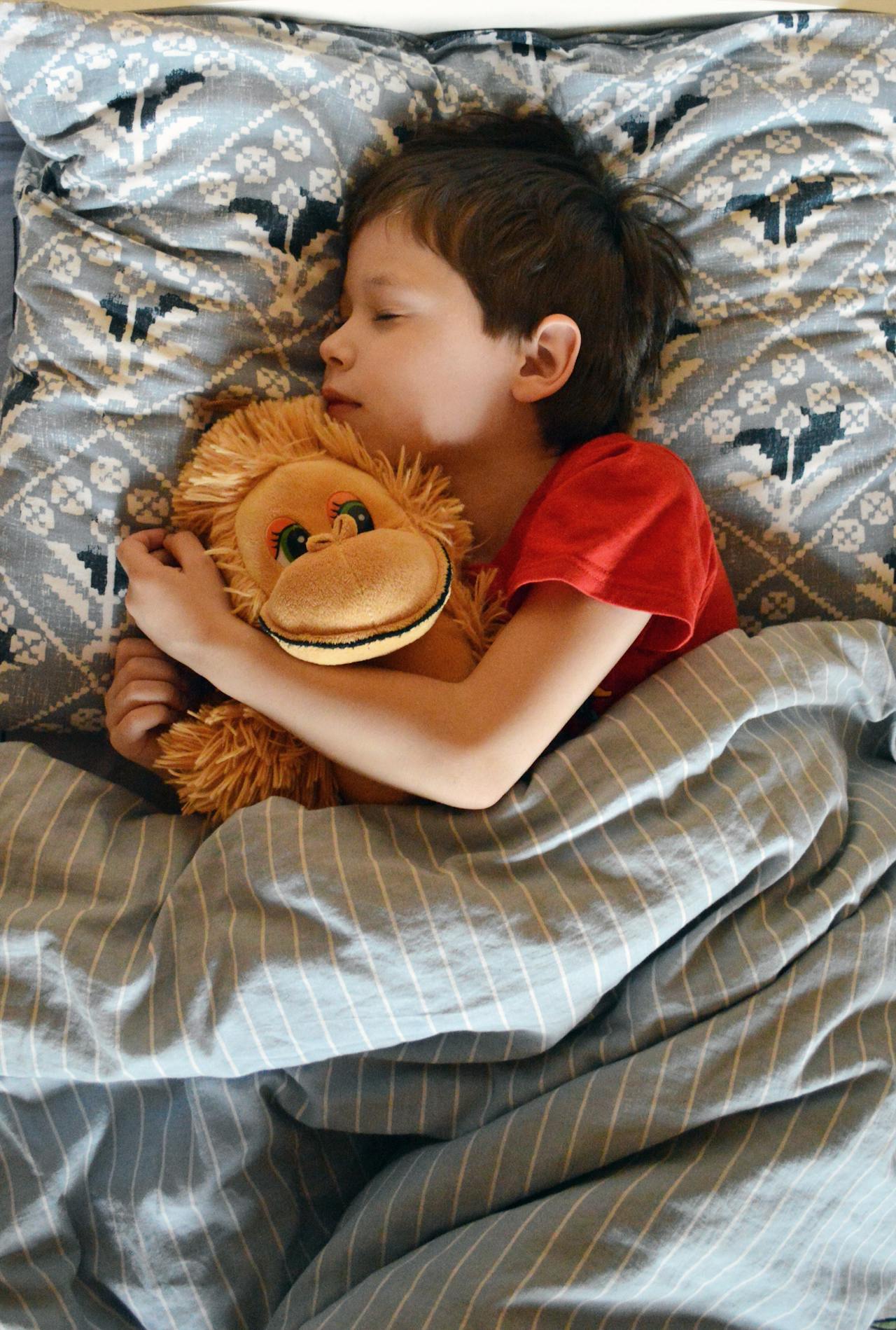 Ein kleiner Junge, der sein Plüschtier umarmt und in seinem Zimmer schläft | Quelle: Pexels