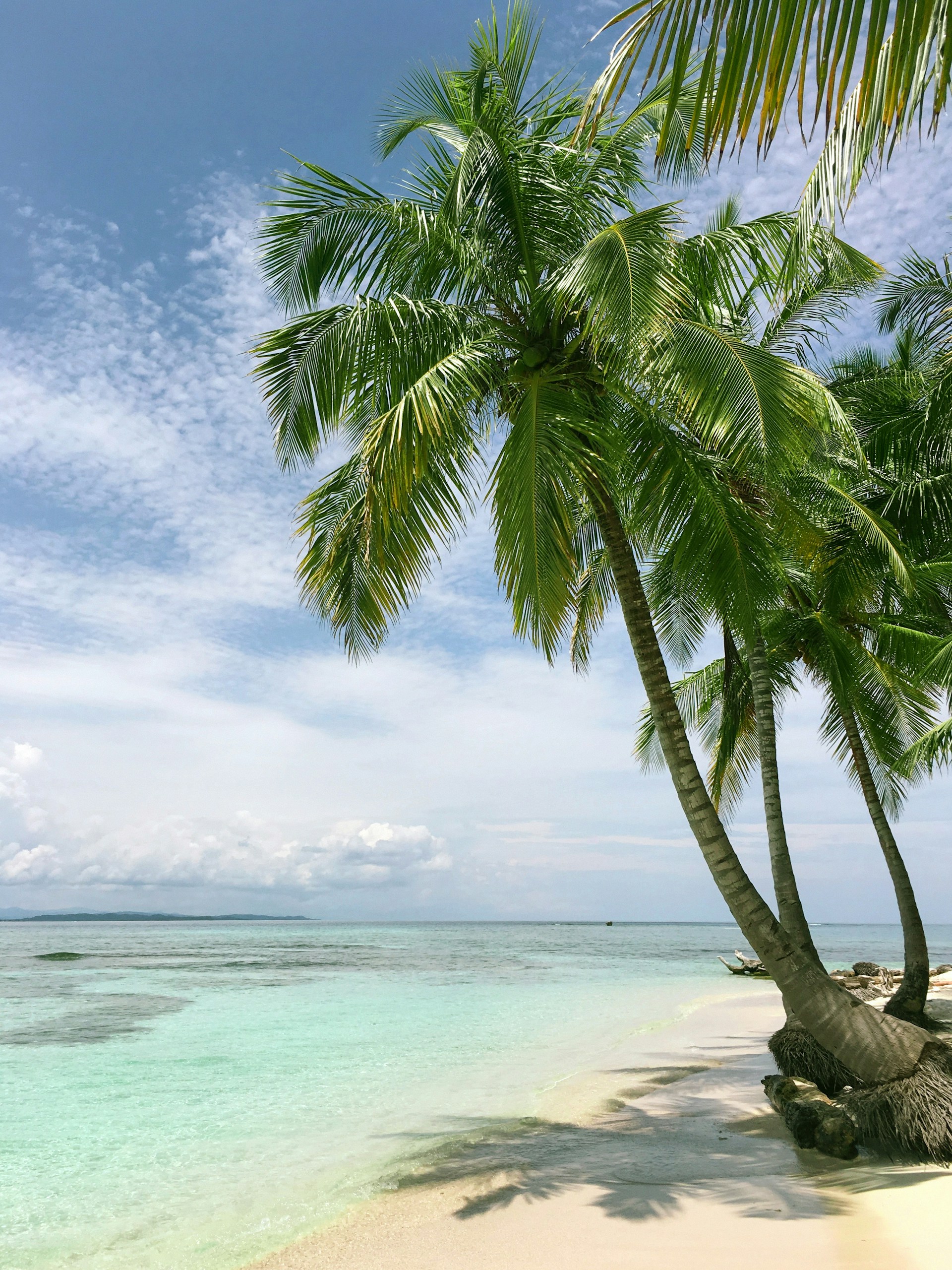Ein Strand | Quelle: Unsplash