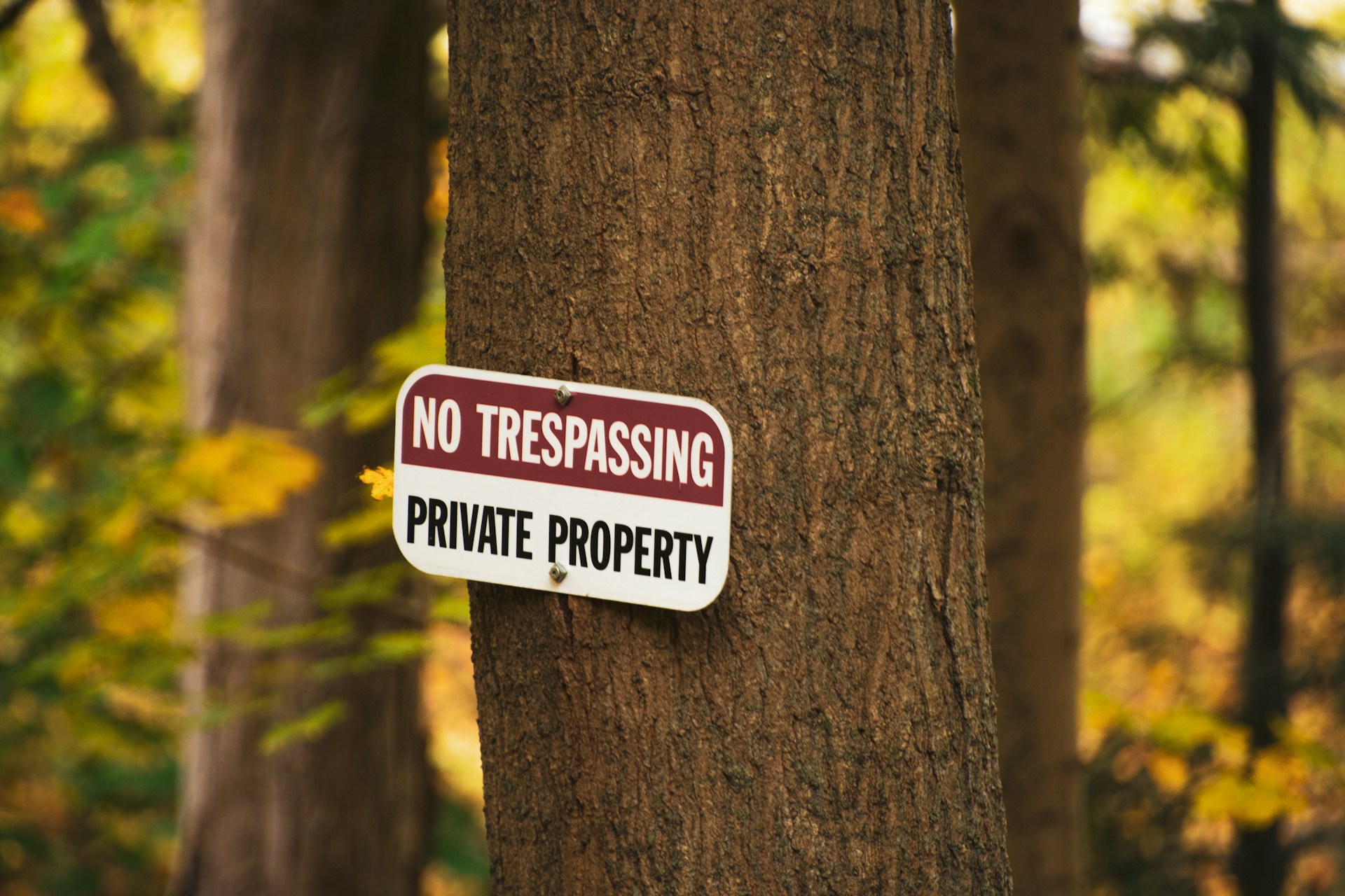 Ein an einen Baum genageltes Warnschild | Quelle: Unsplash