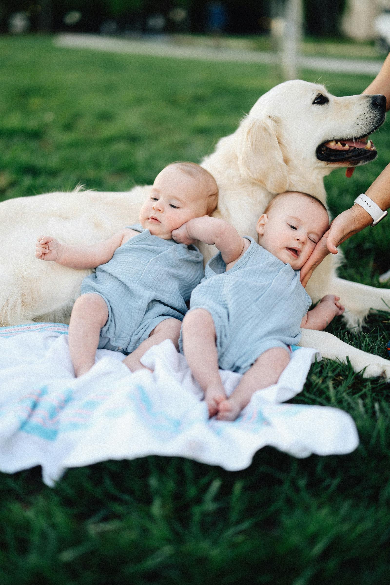 Kinder, die auf einem Hund liegen | Quelle: Unsplash