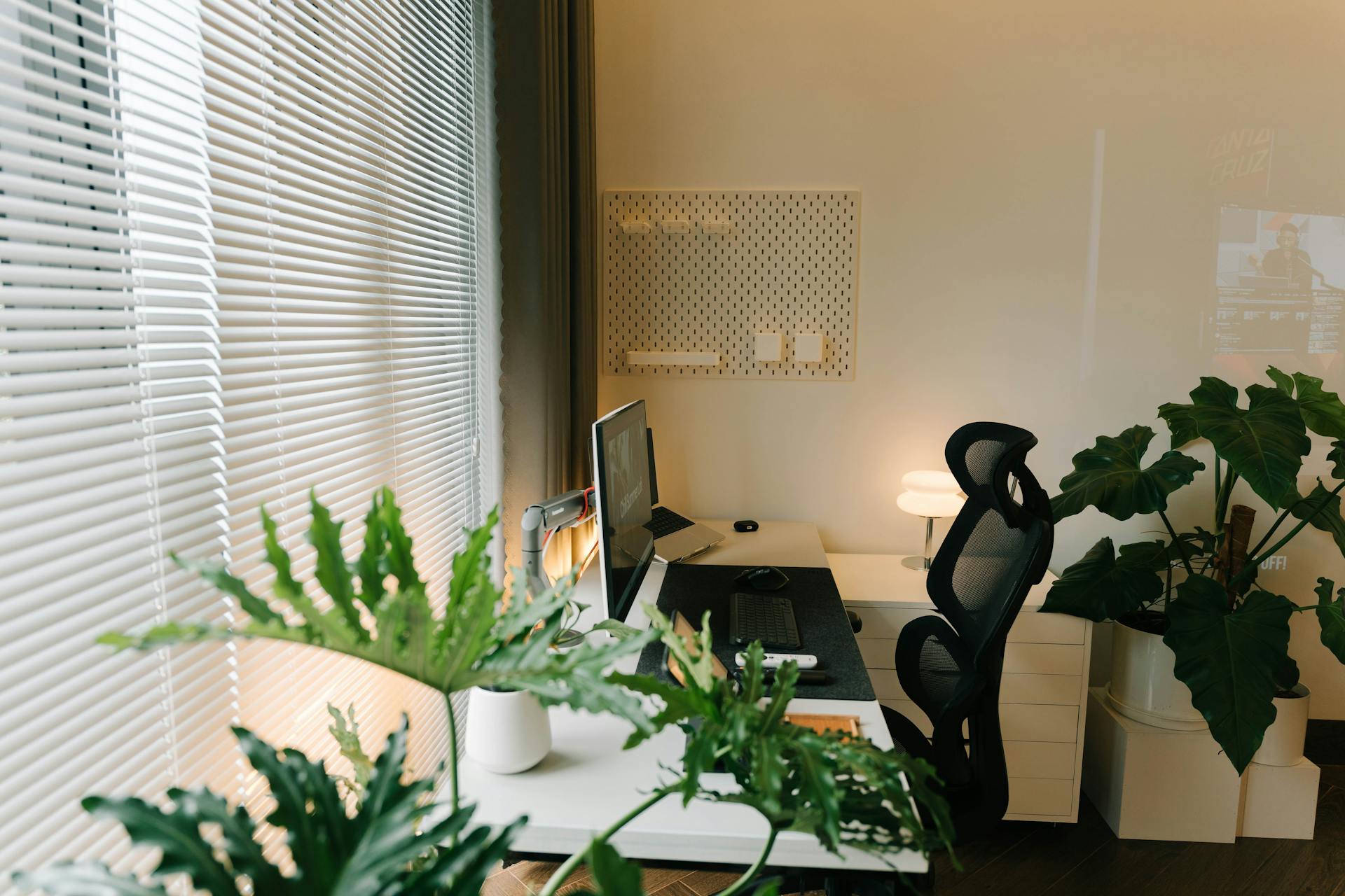 Pflanzen in einem Büro | Quelle: Pexels