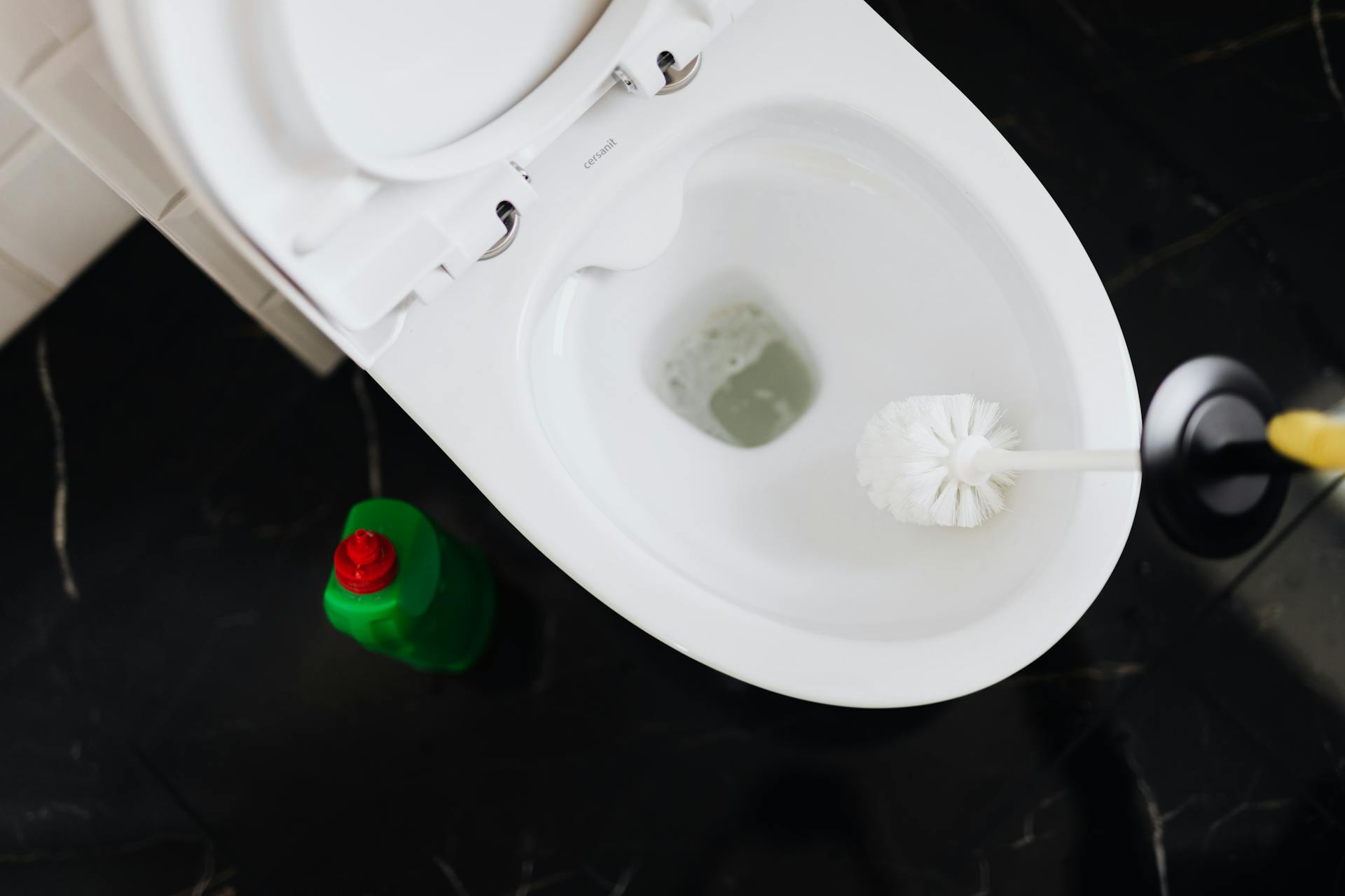 Eine Person beim Reinigen einer Toilette | Quelle: Pexels