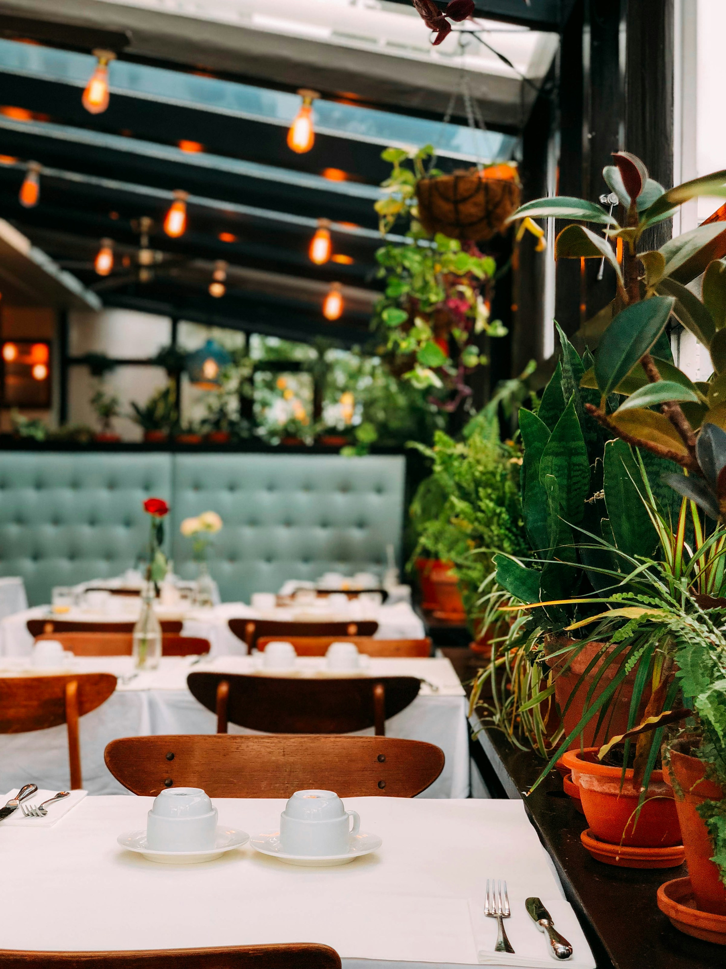 Das Innere eines gehobenen Restaurants | Quelle: Unsplash