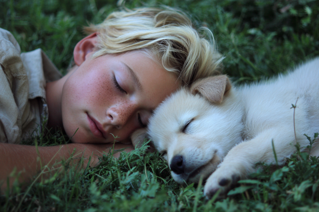 Ein kleiner Junge liegt neben einem Welpen im Gras | Quelle: Midjourney