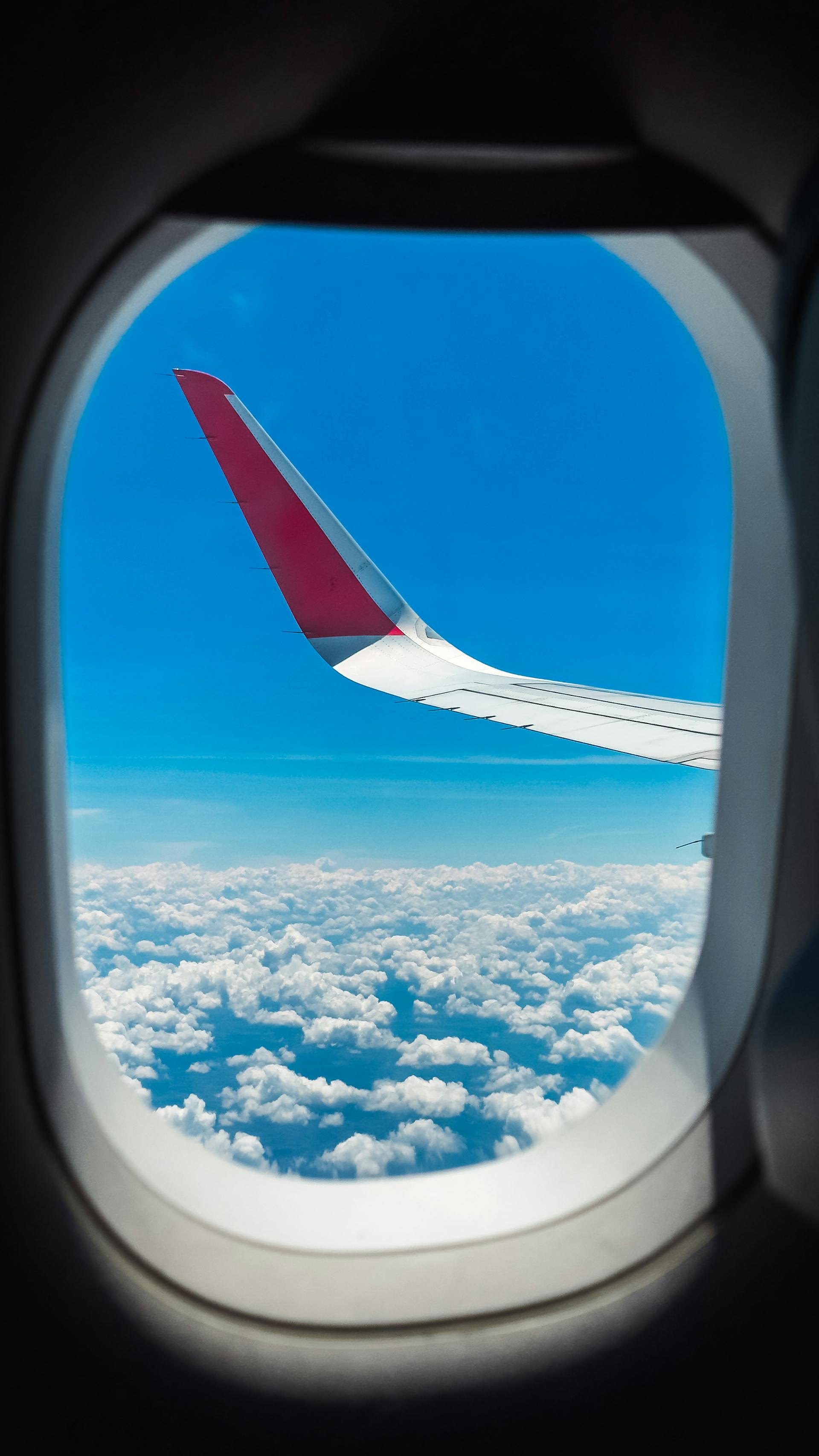 Der Blick aus einem Flugzeugfenster | Quelle: Pexels