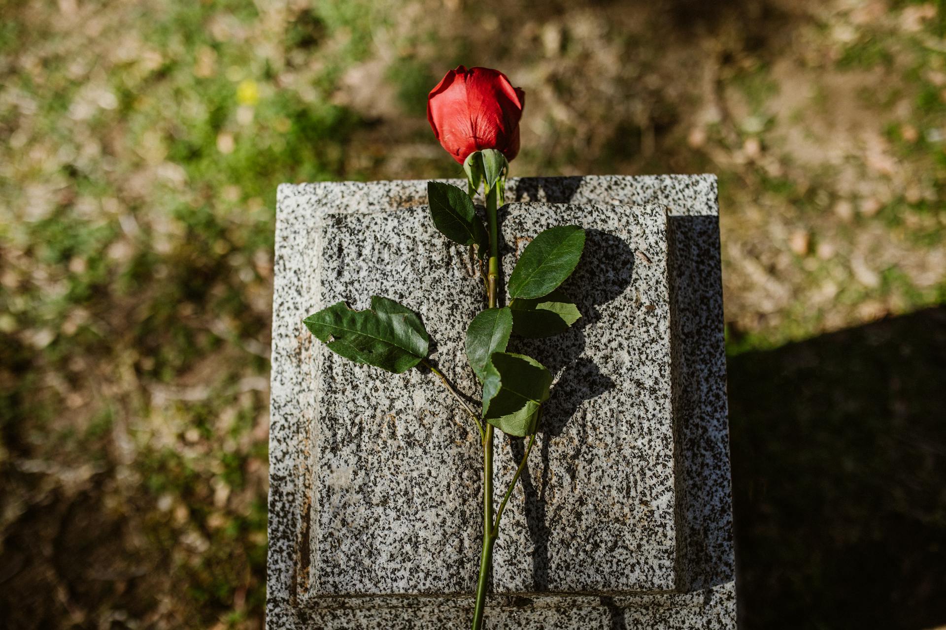 Eine Blume auf einem Grabstein | Quelle: Pexels