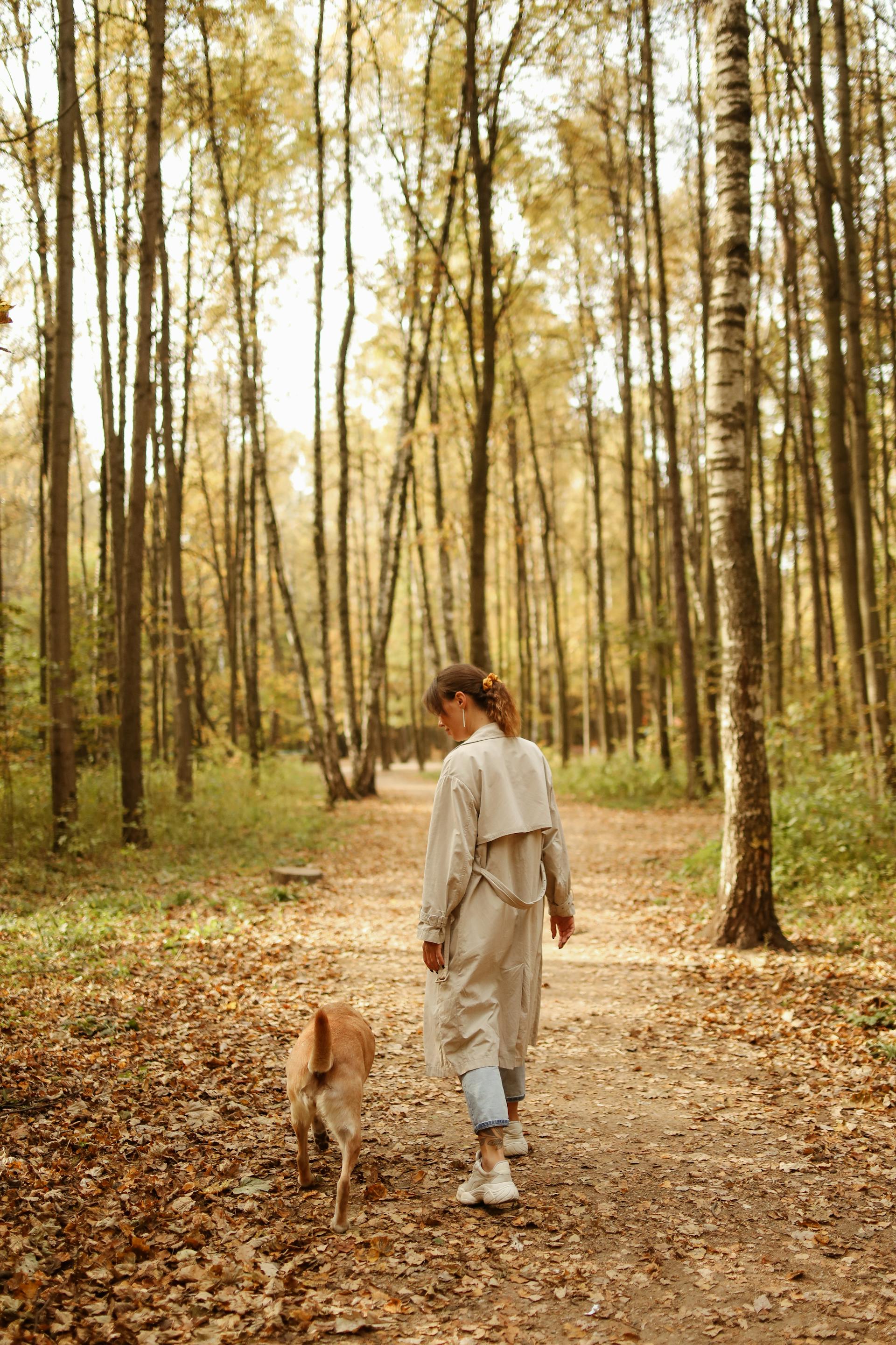 Eine Frau geht mit ihrem Hund im Wald spazieren | Quelle: Pexels