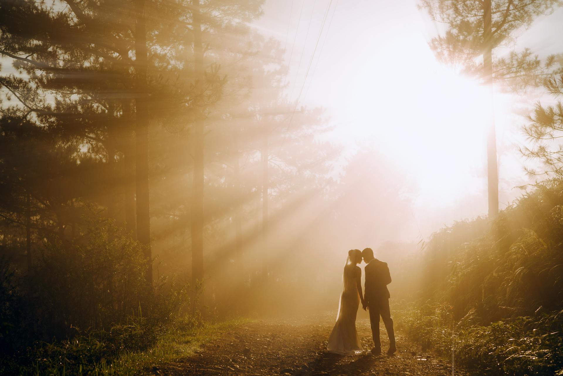 Eine Braut und ein Bräutigam stehen auf einer Straße in einem Wald, während die Sonnenstrahlen durch die Bäume scheinen | Quelle: Pexels
